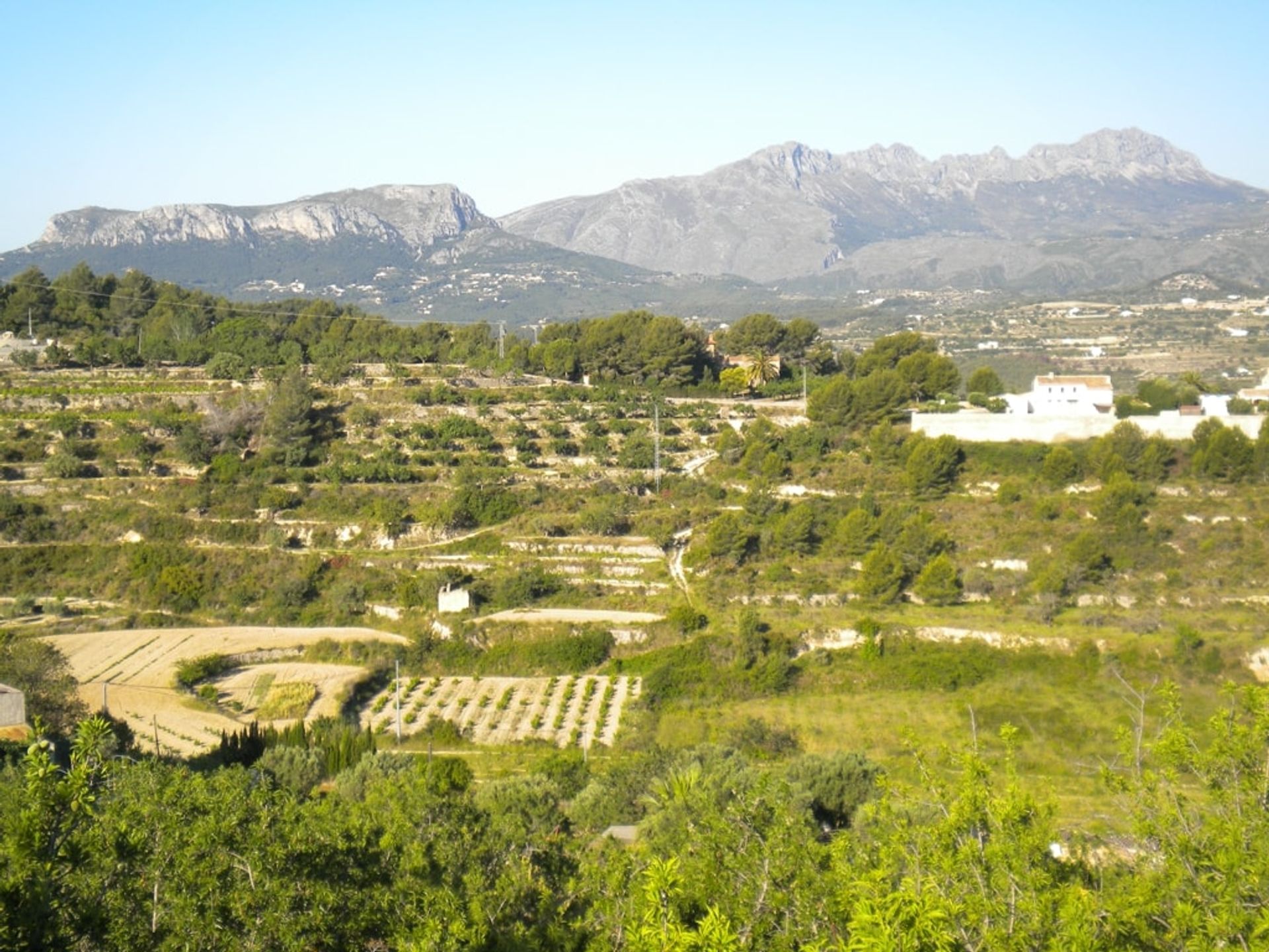 Tanah di , Comunidad Valenciana 11205556