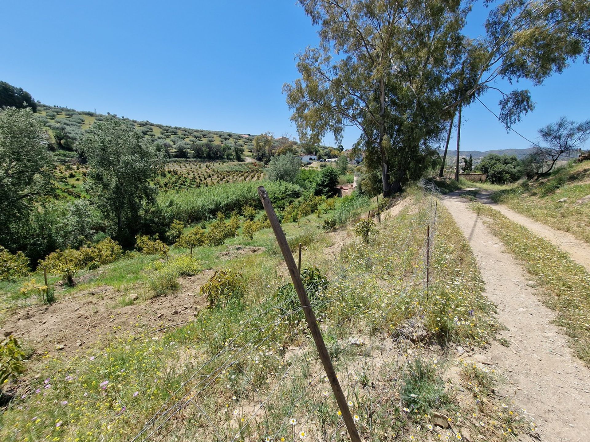 Hus i Vinuela, Andalusien 11205919