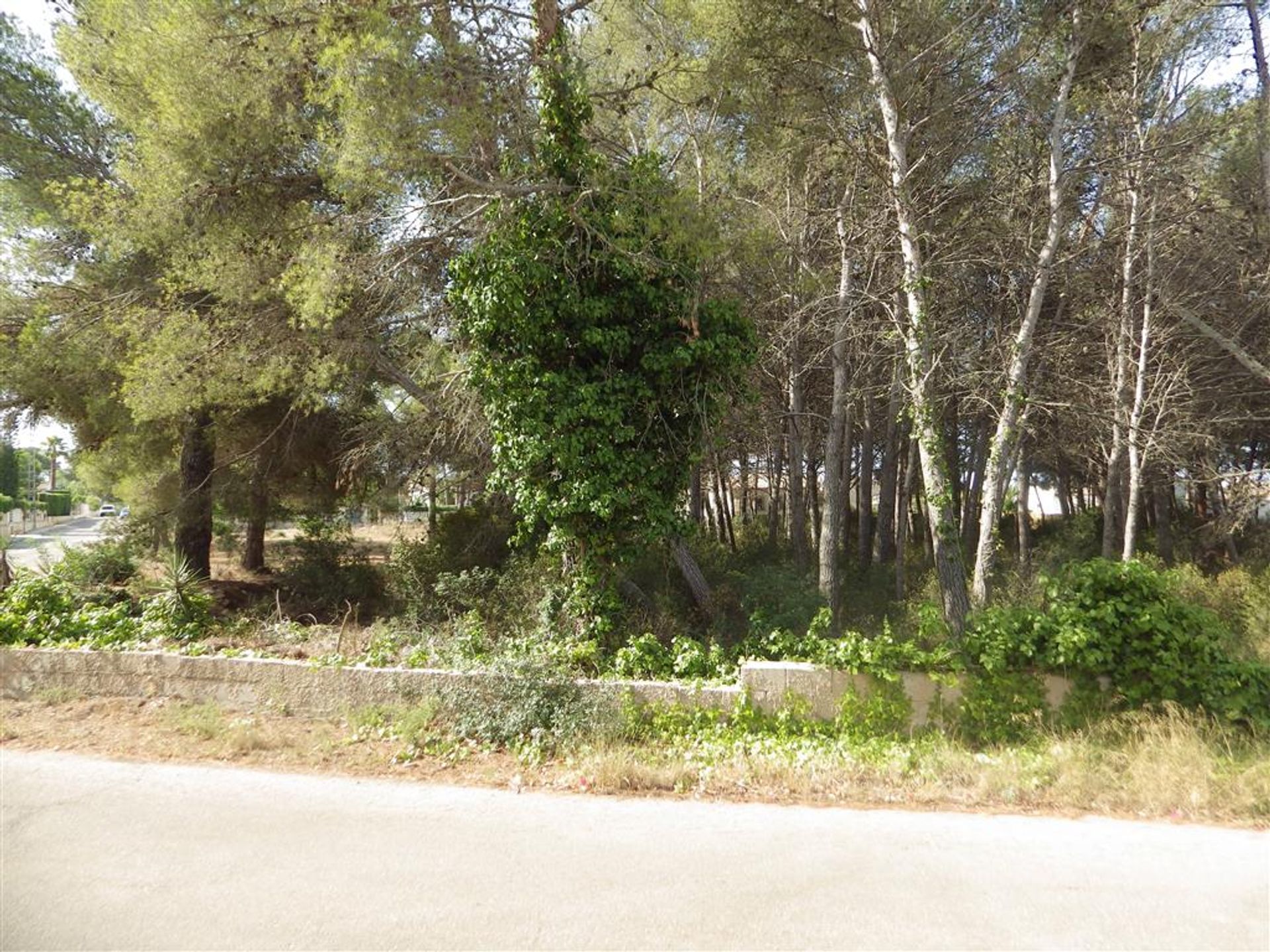 Land in Javea, Valencia 11205967