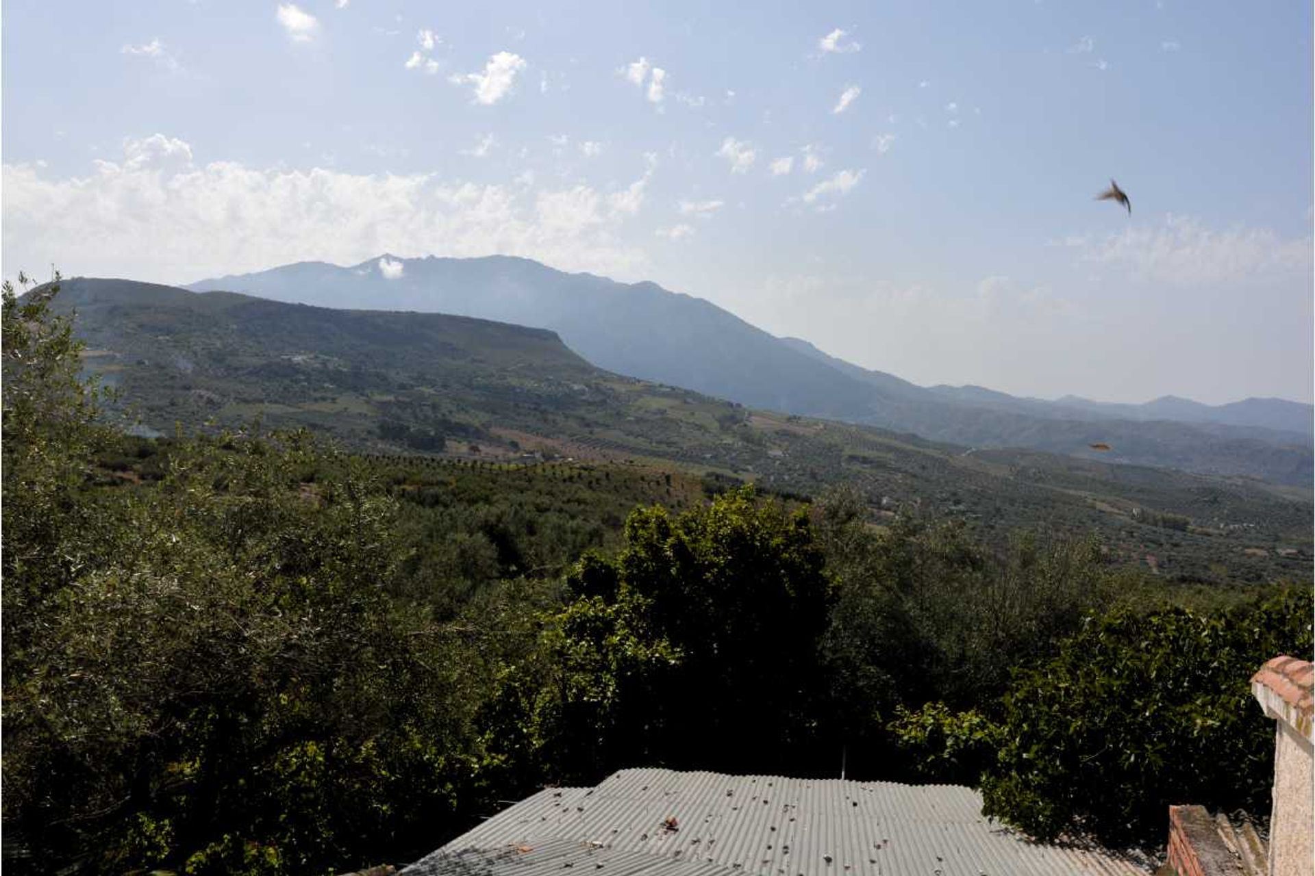 loger dans Periana, Andalucía 11206356