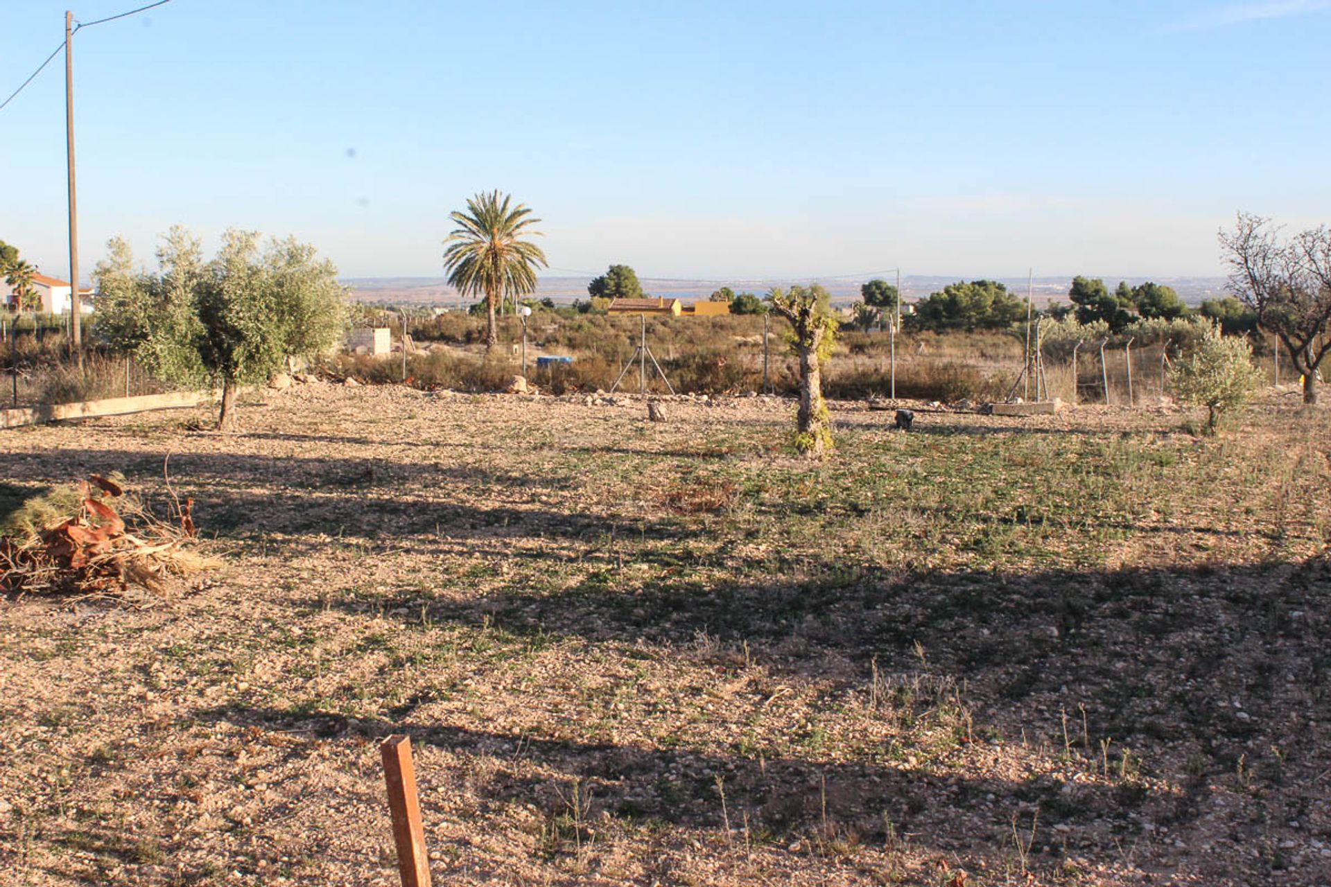 σπίτι σε Crevillente, Comunidad Valenciana 11207183