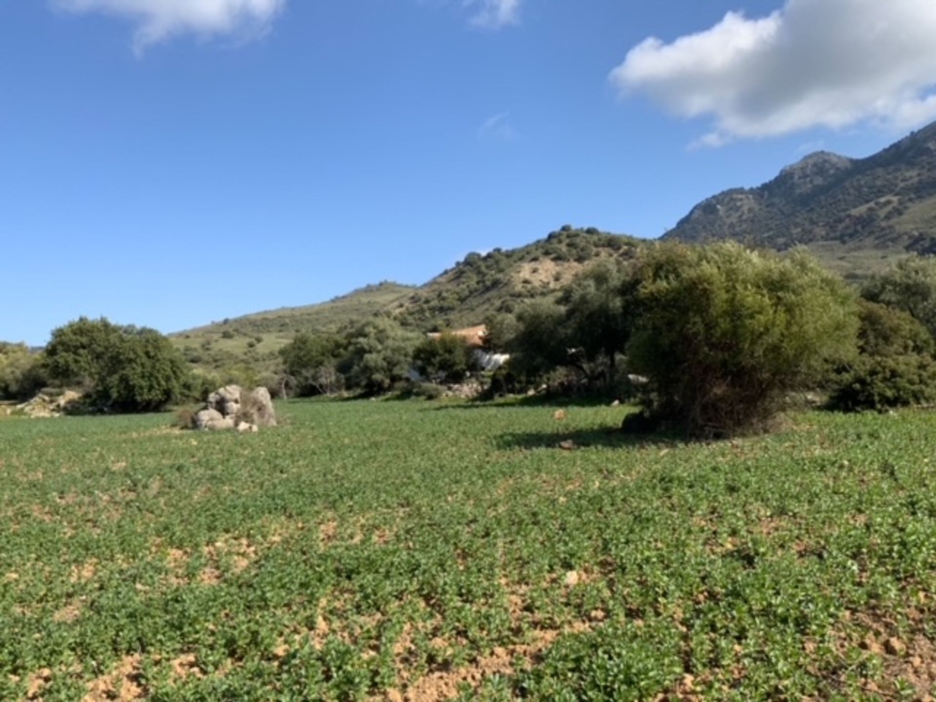 Hus i Montecorto, Andalucía 11207356