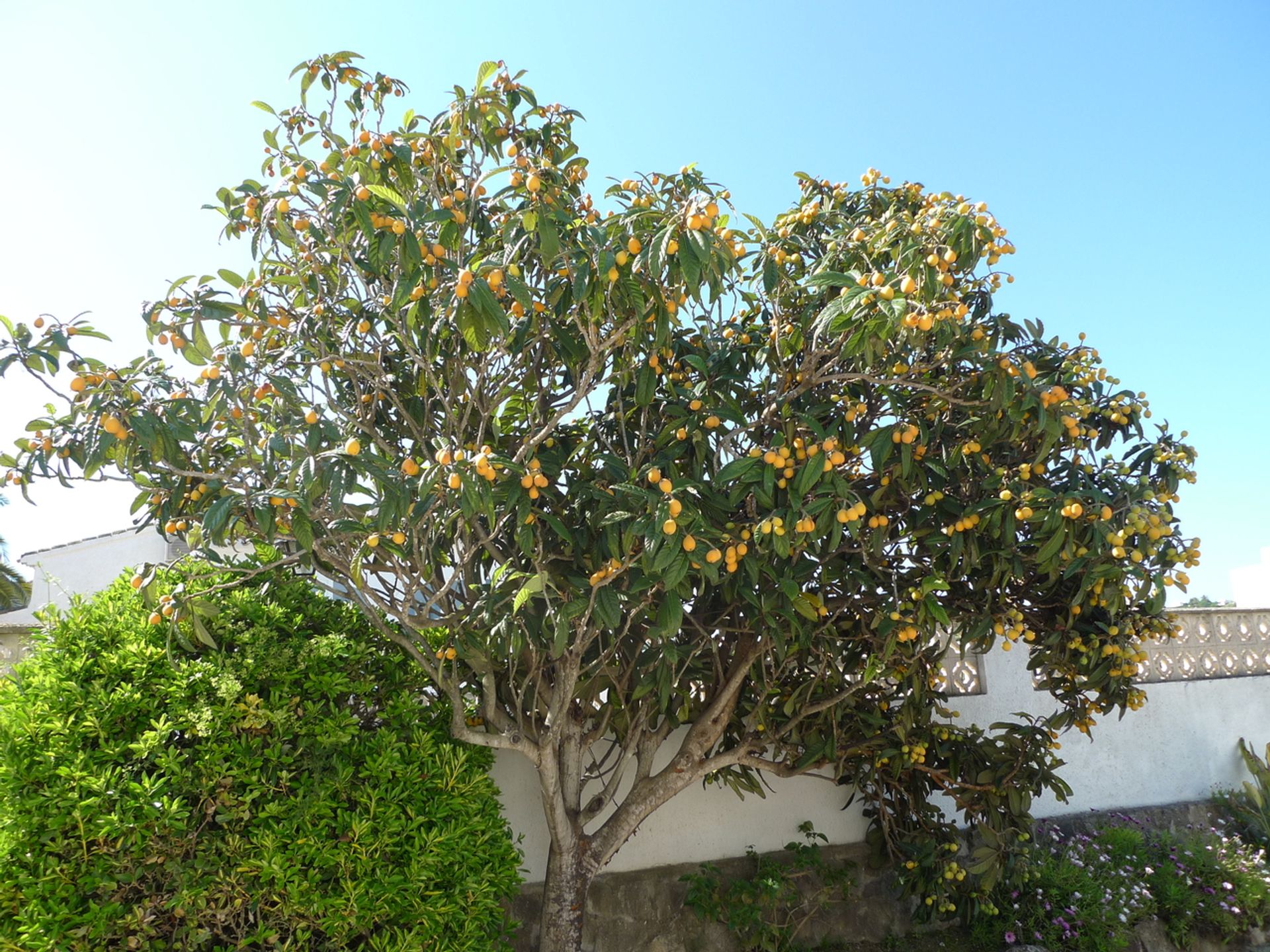 casa en Jávea, Comunidad Valenciana 11207363