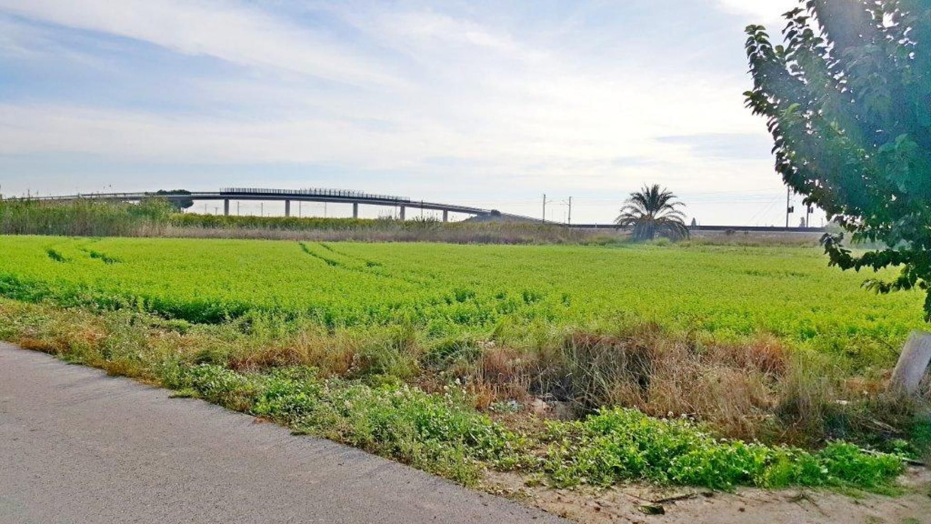 Tierra en Callosa de Segura, Comunidad Valenciana 11207400