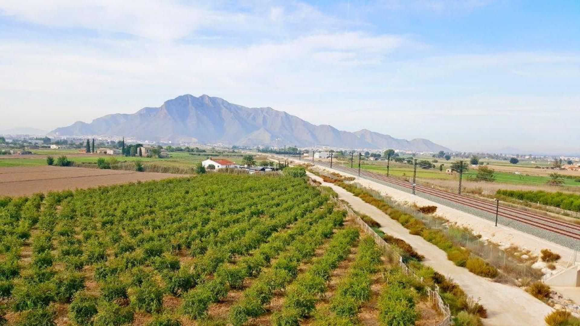 Tanah di Callosa de Segura, Comunidad Valenciana 11207400