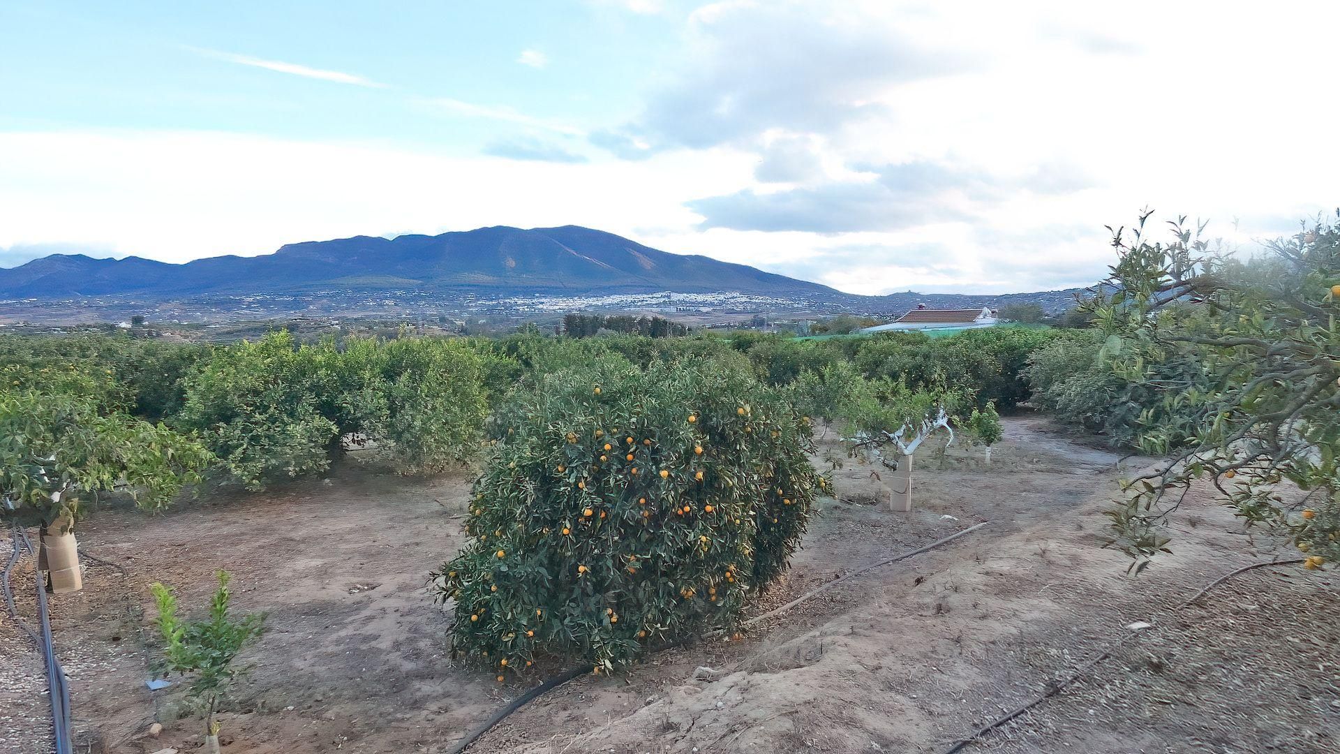 Hus i Alhaurín el Grande, Andalucía 11207969