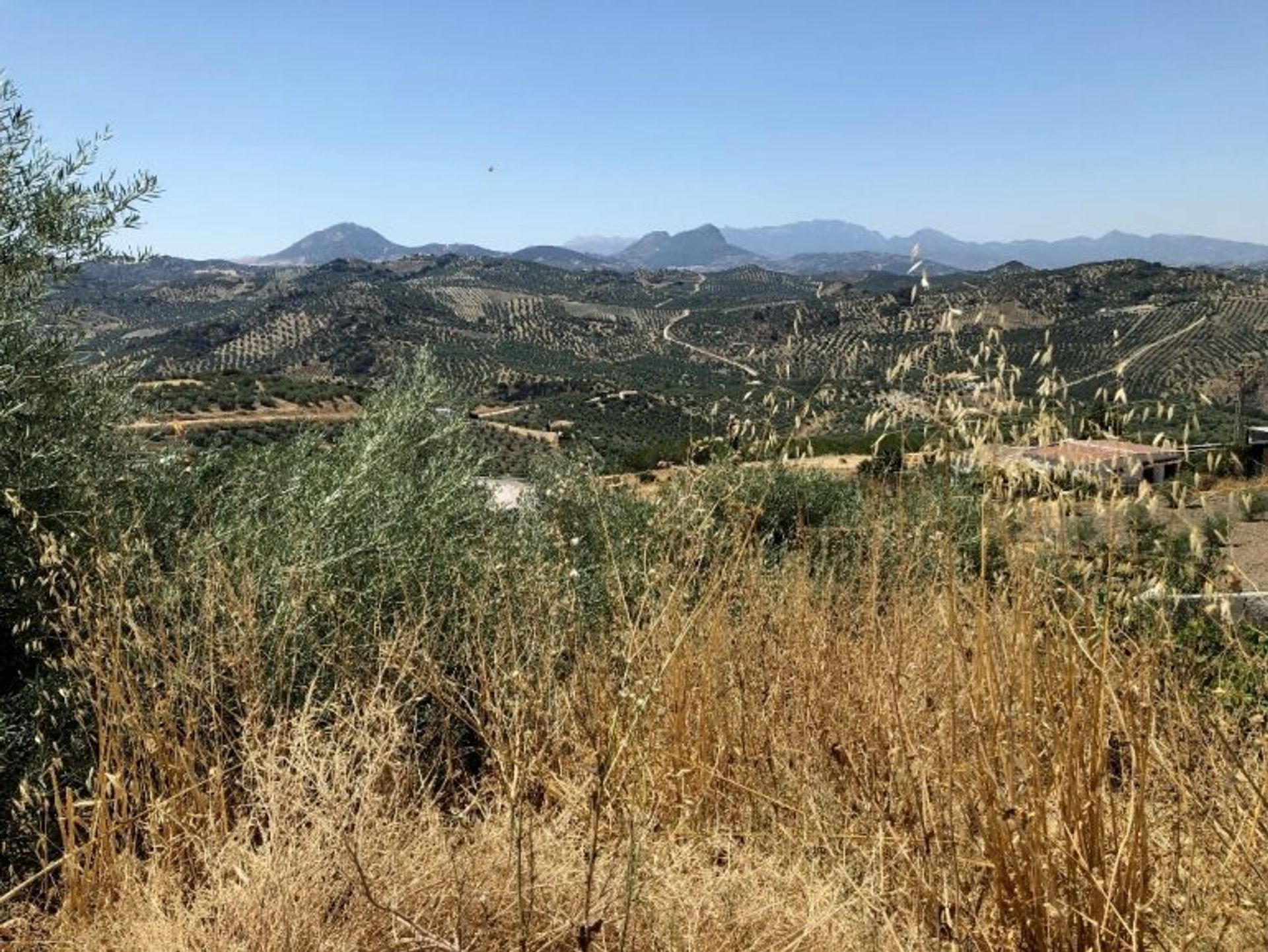 House in Olvera, Andalucía 11208235