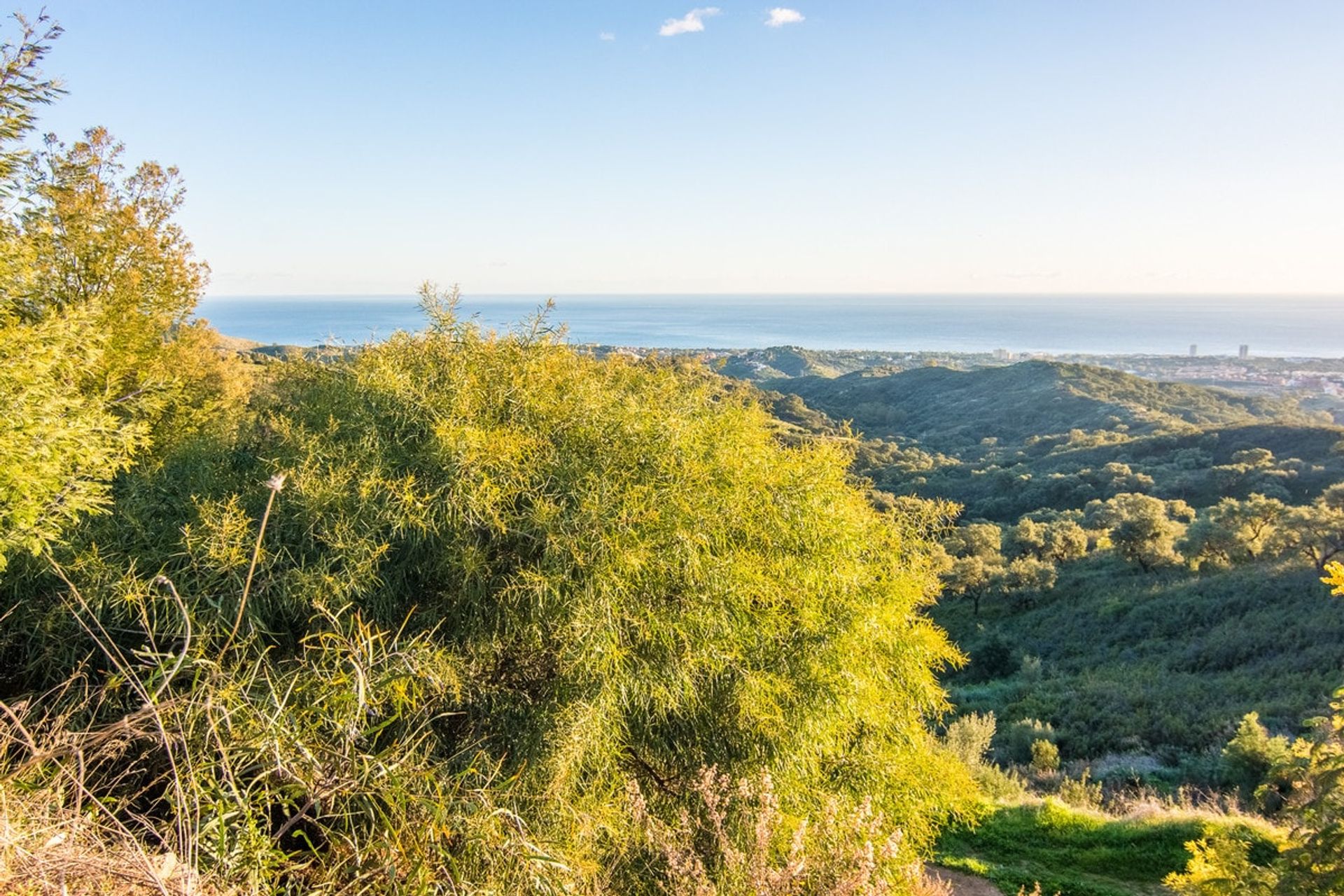 Tanah dalam , Andalucía 11208377