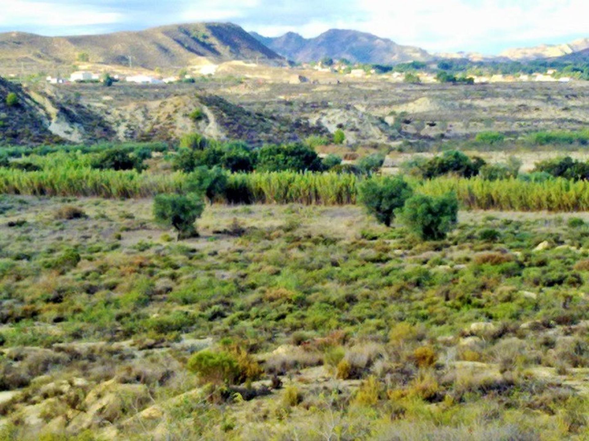 Tanah di El Tocino, Valencia 11208572