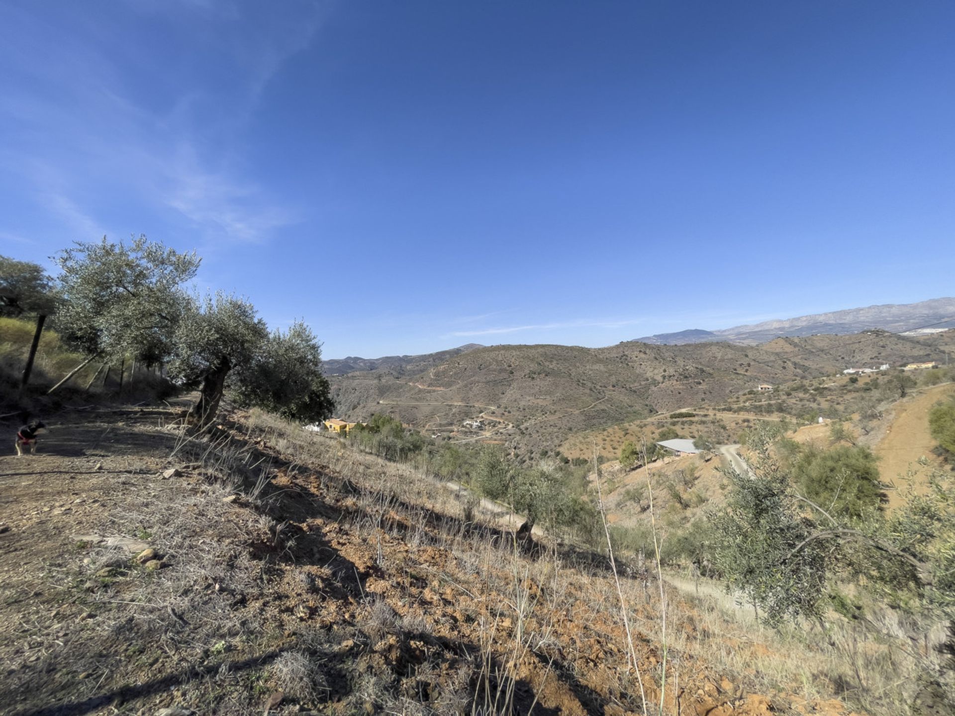 Casa nel Almogía, Andalucía 11208884