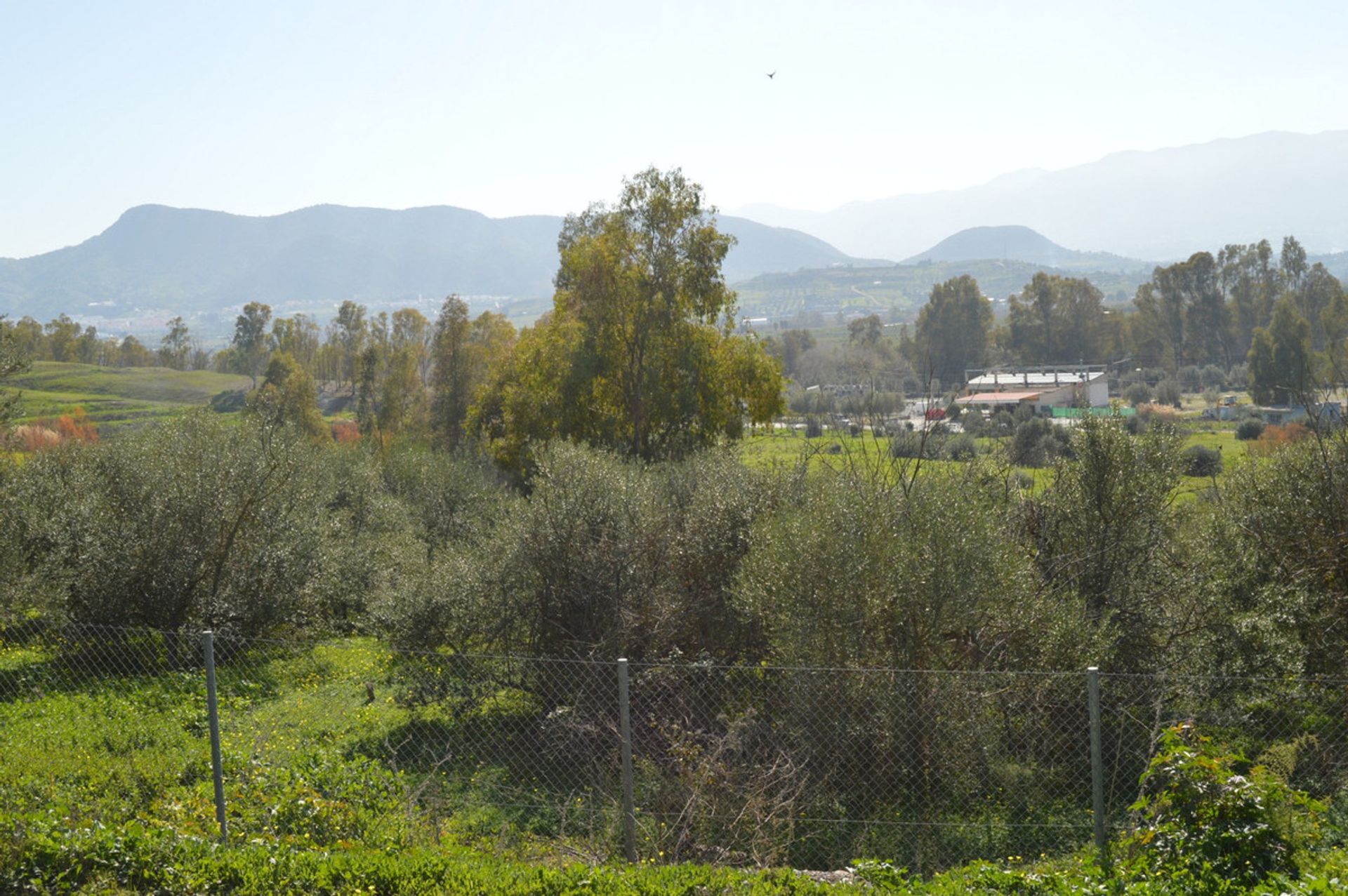 Γη σε Estación de Cártama, Andalucía 11210568