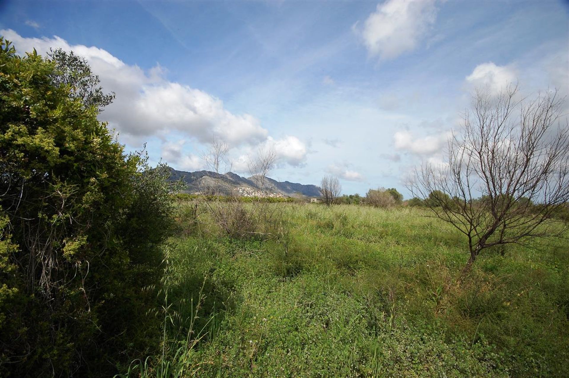 Land in Benidoleig, Valencia 11211495