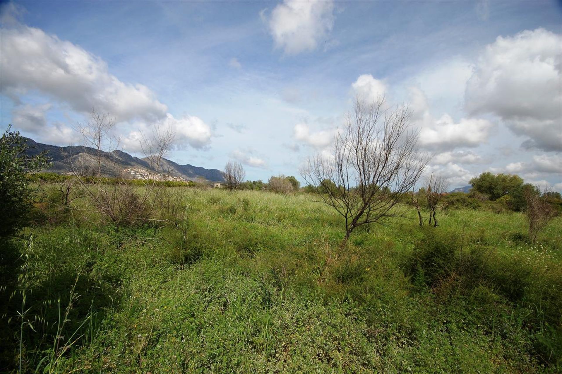 Land in Benidoleig, Valencia 11211495