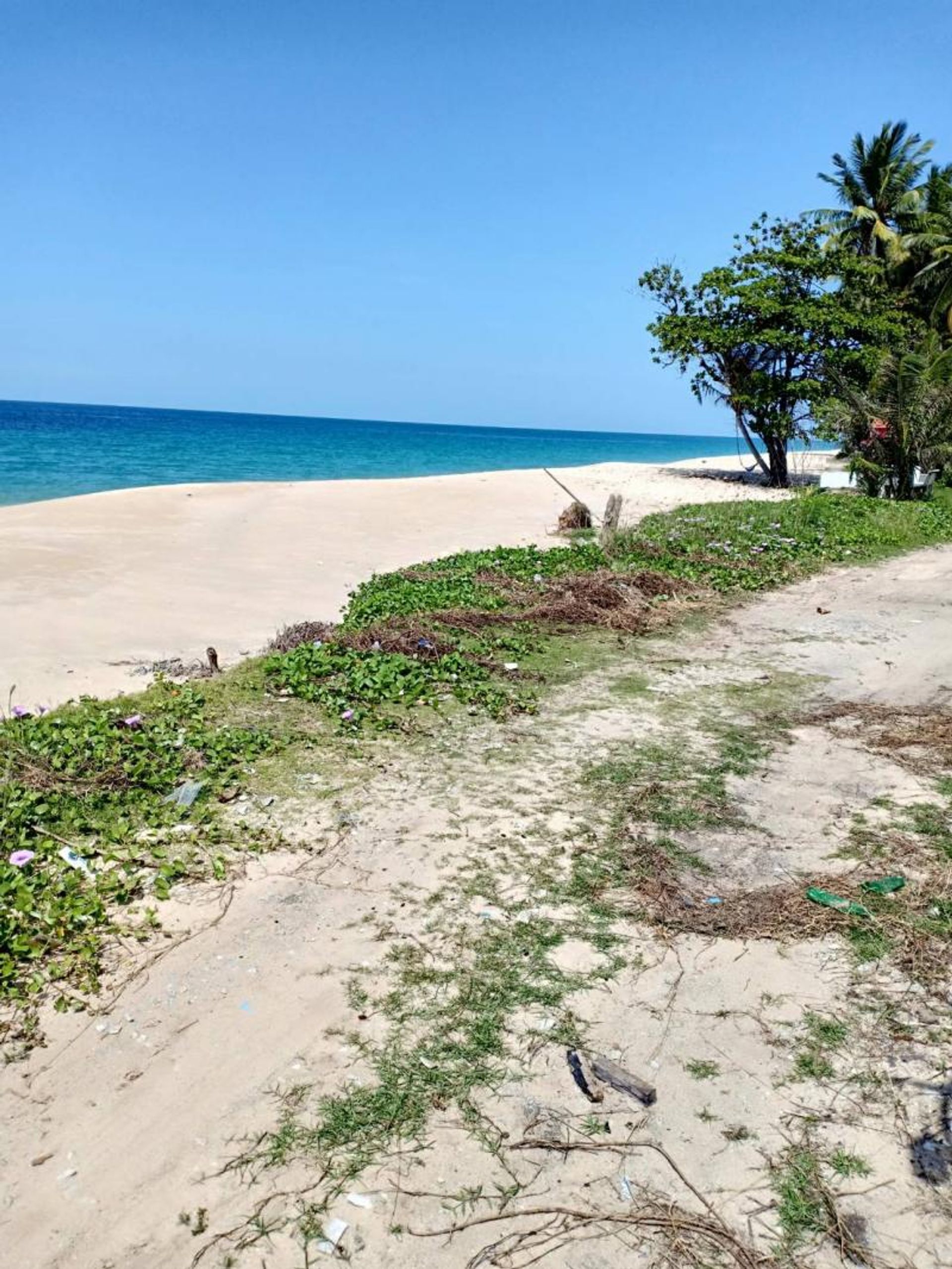 الأرض في Khok Kloi, Phang-nga 11213322