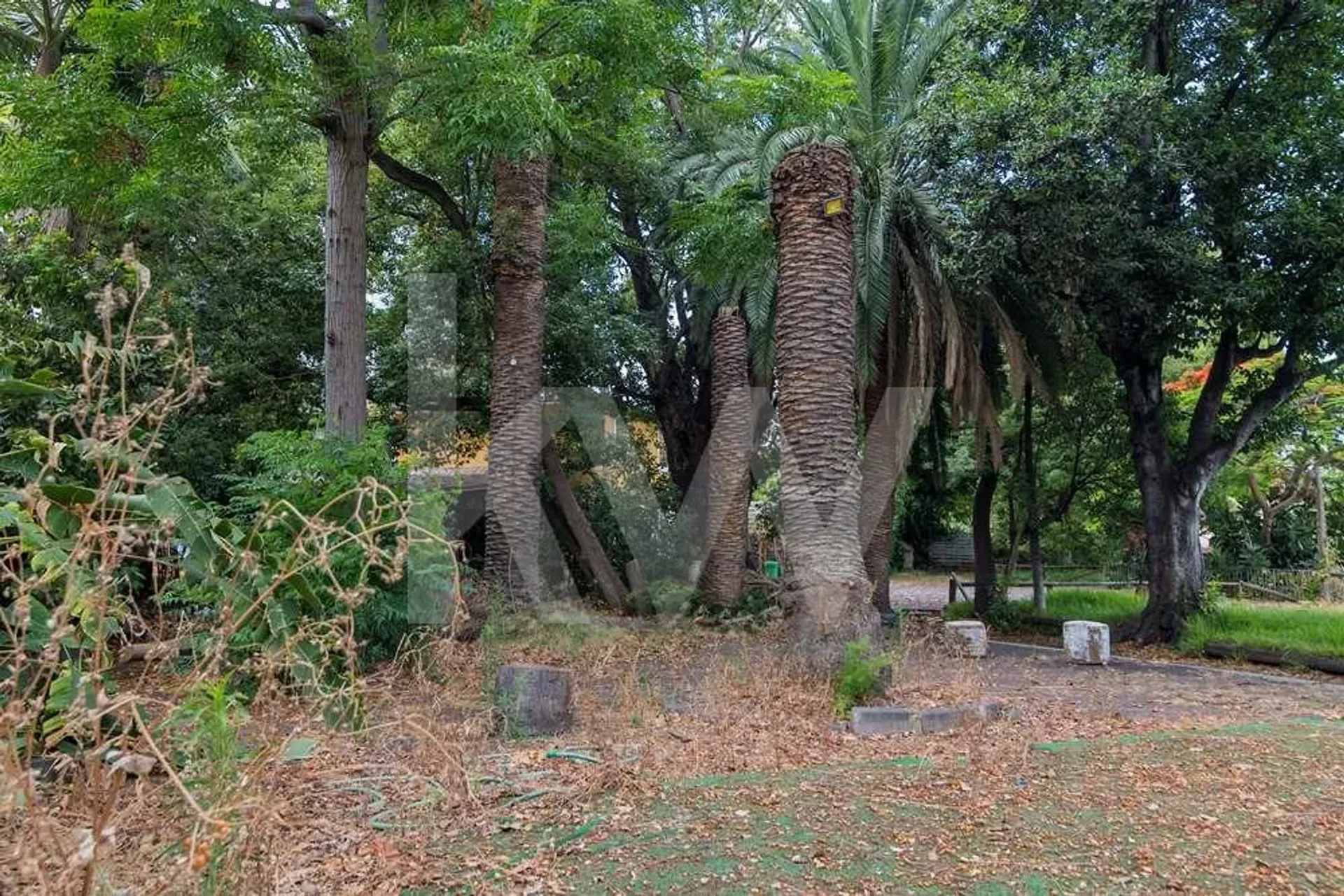 σπίτι σε Funchal, Rua de São Filipe 11214626