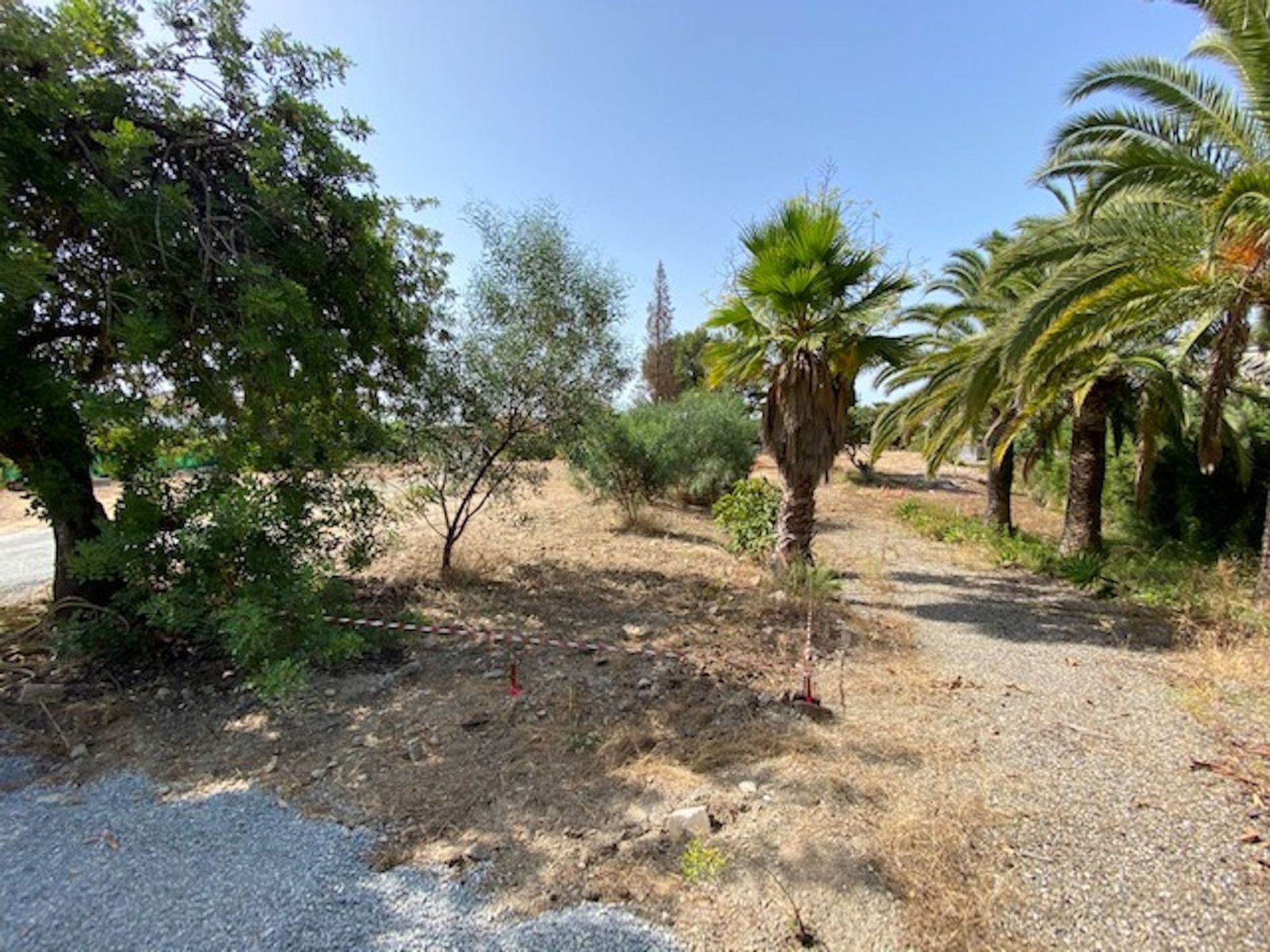 Land in Marbella, Andalucía 11217499