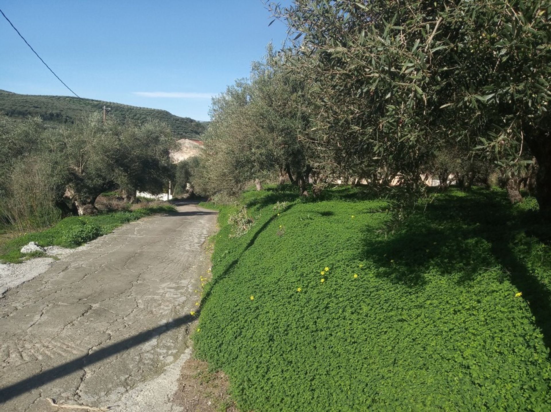 Land i Tavronitis,  11217779