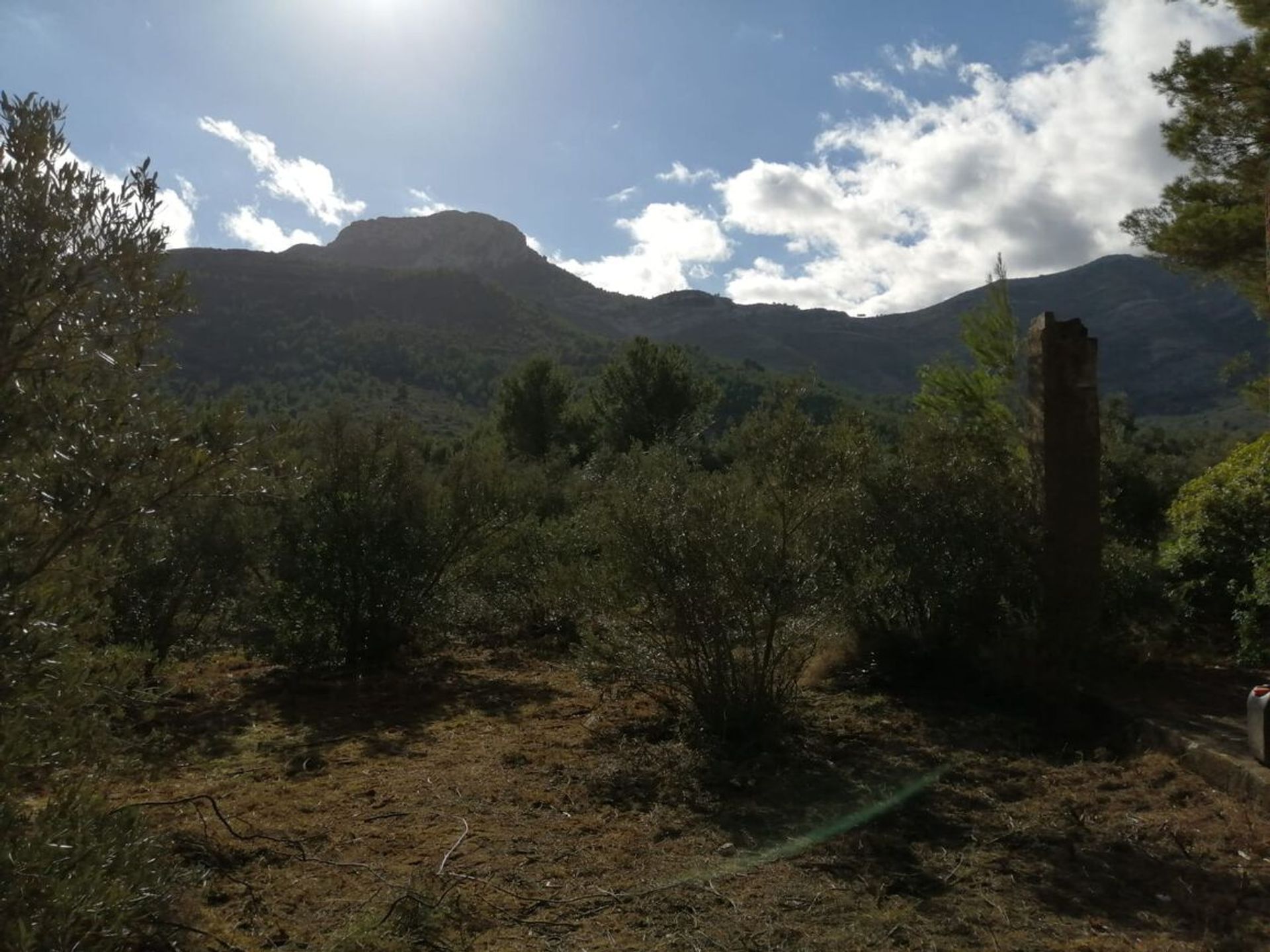 Jord i Alcalalí, Comunidad Valenciana 11218300