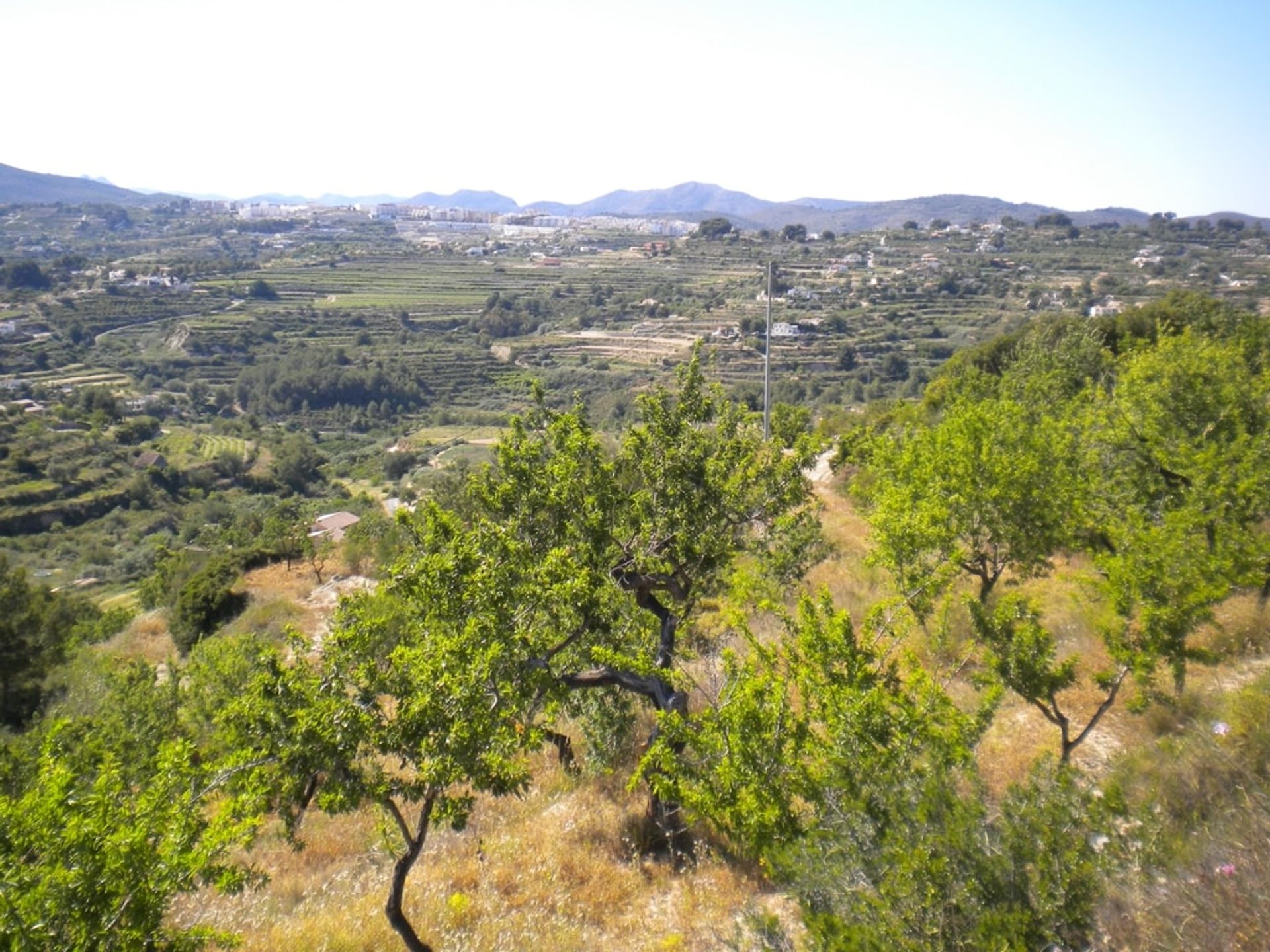 Terra no , Comunidad Valenciana 11218415