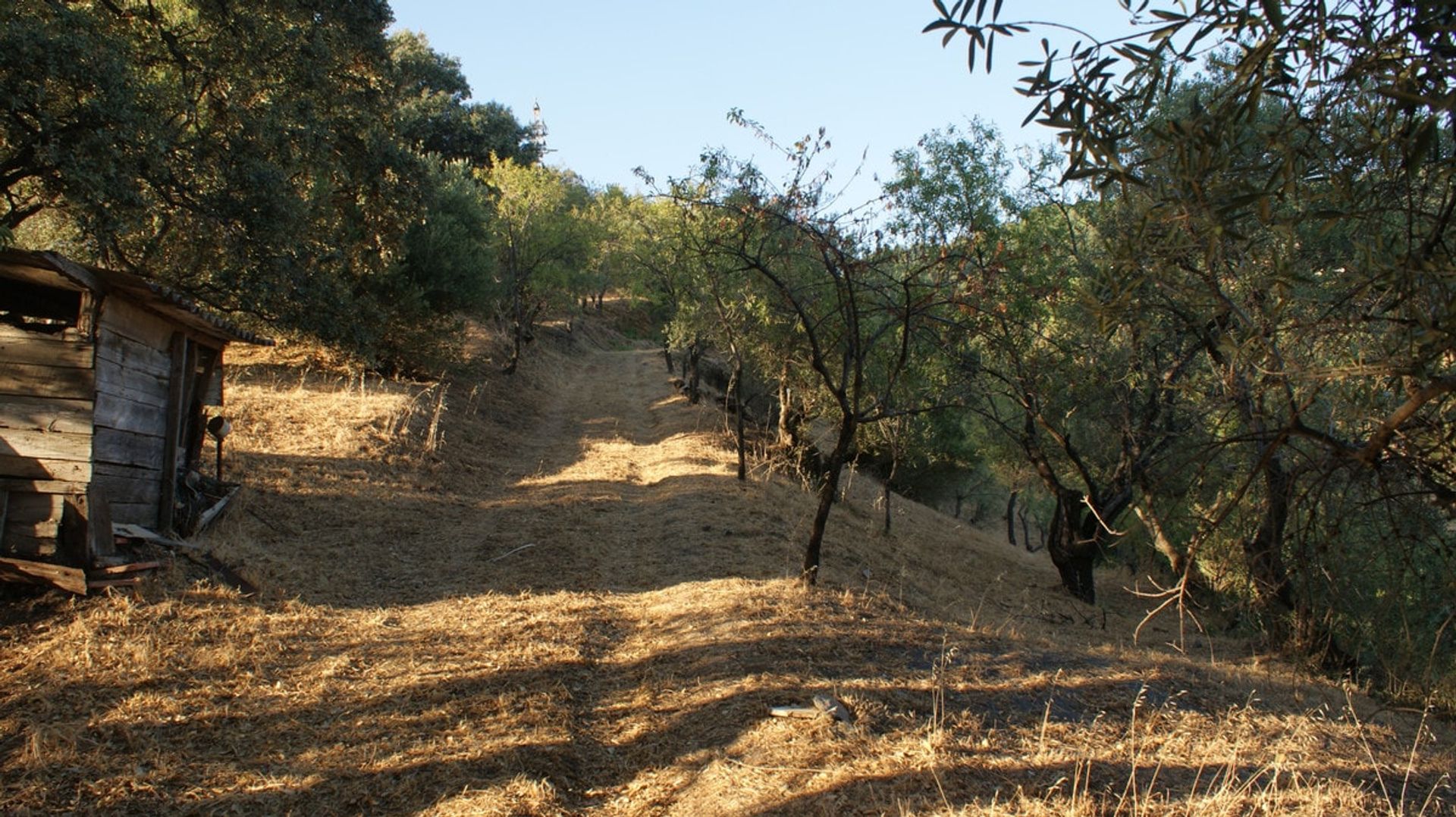 Terra no Jubrique, Andalucía 11218451