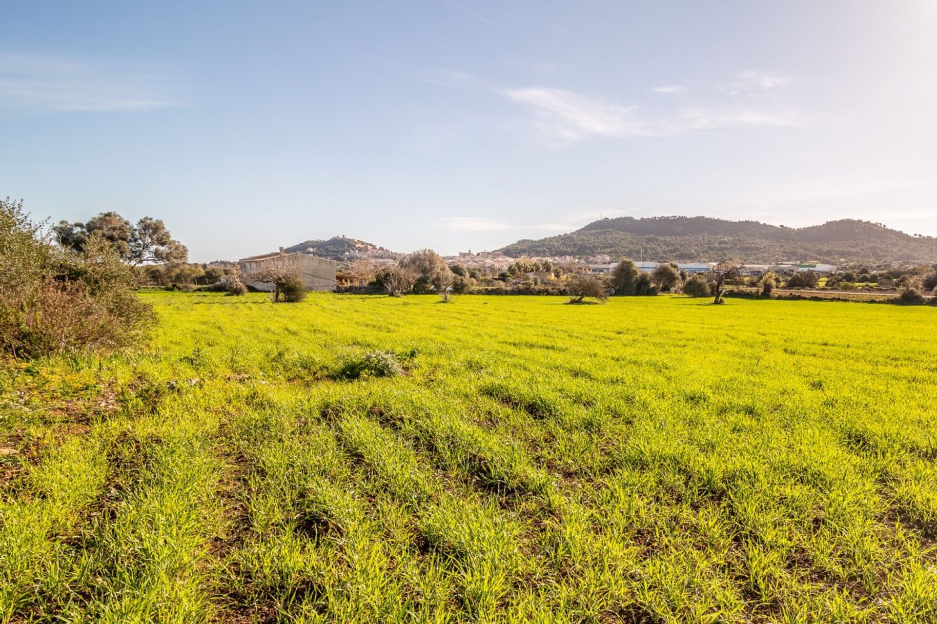 Land im Capdepera, Balearen 11218797