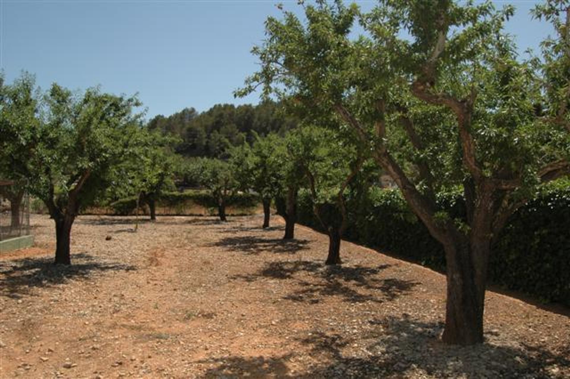 casa no Llíber, Comunidad Valenciana 11218996