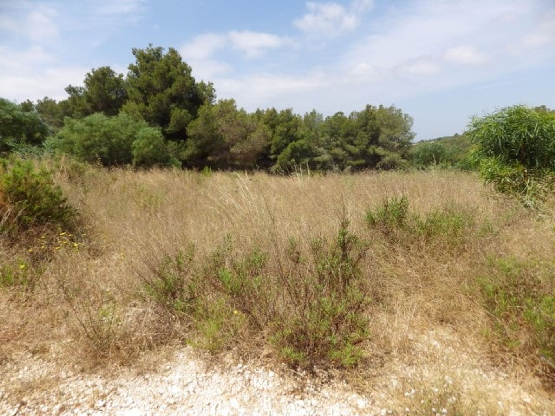 Land im Jávea, Comunidad Valenciana 11219089