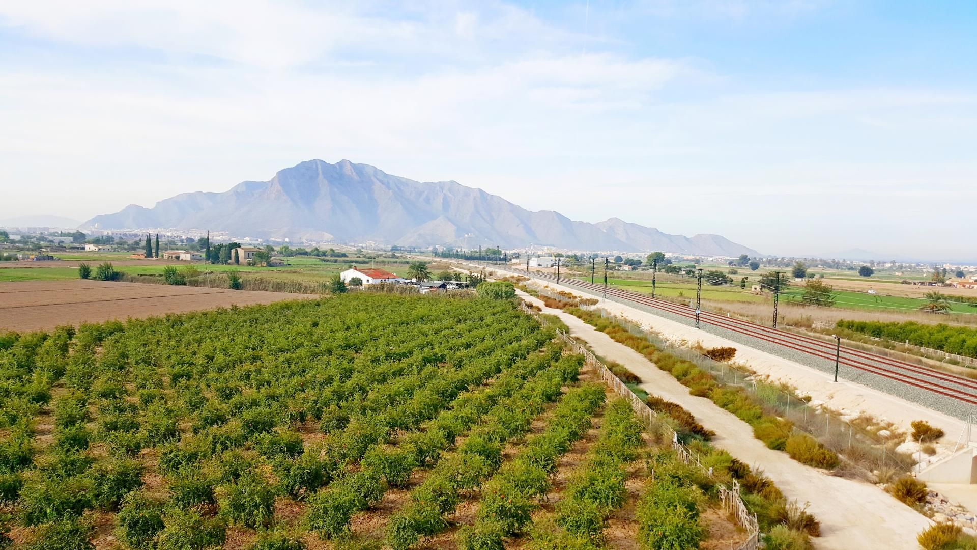 Land in Callosa de Segura, Comunidad Valenciana 11220375