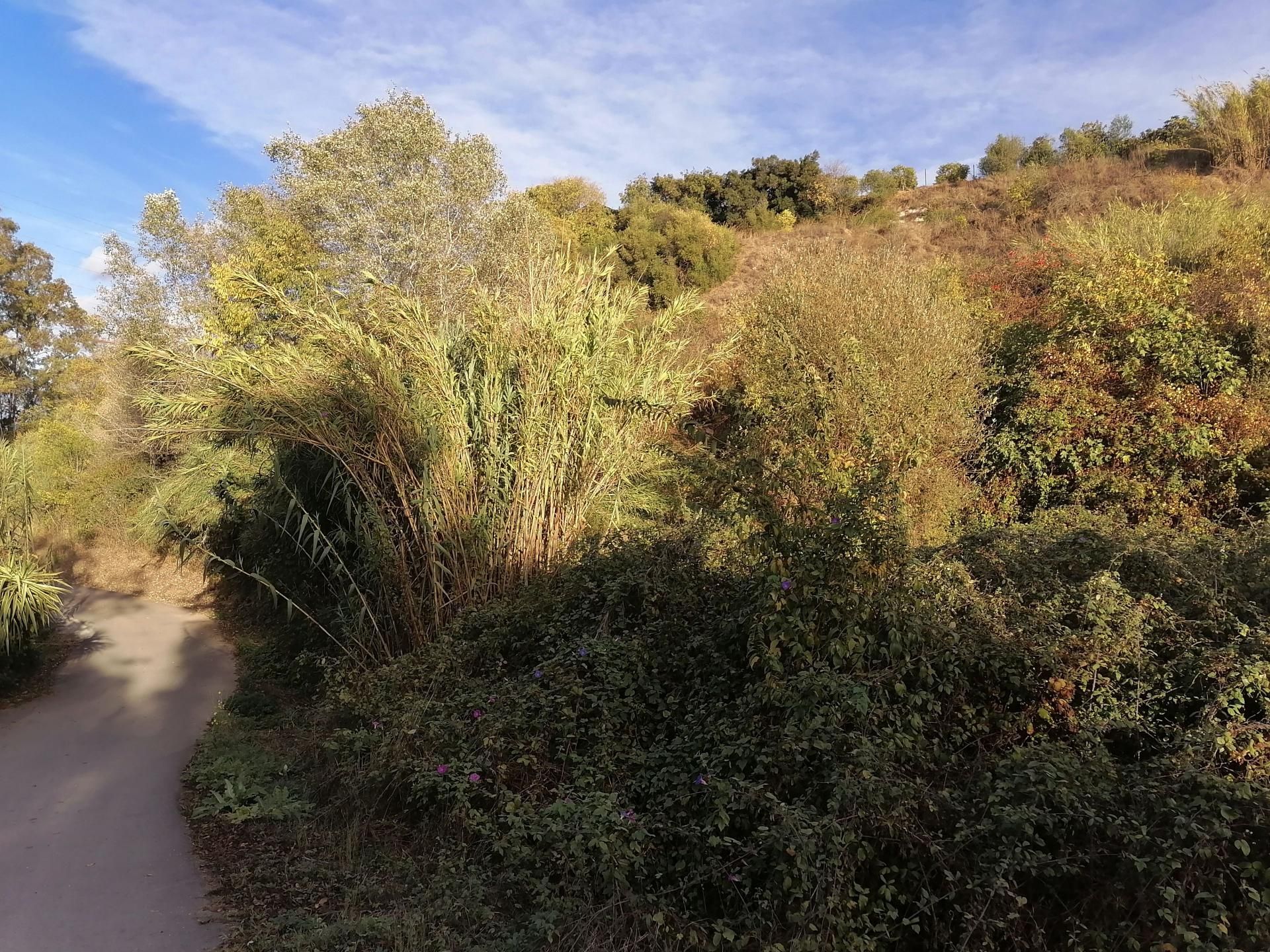 Tierra en Alhaurín el Grande, Andalucía 11221105