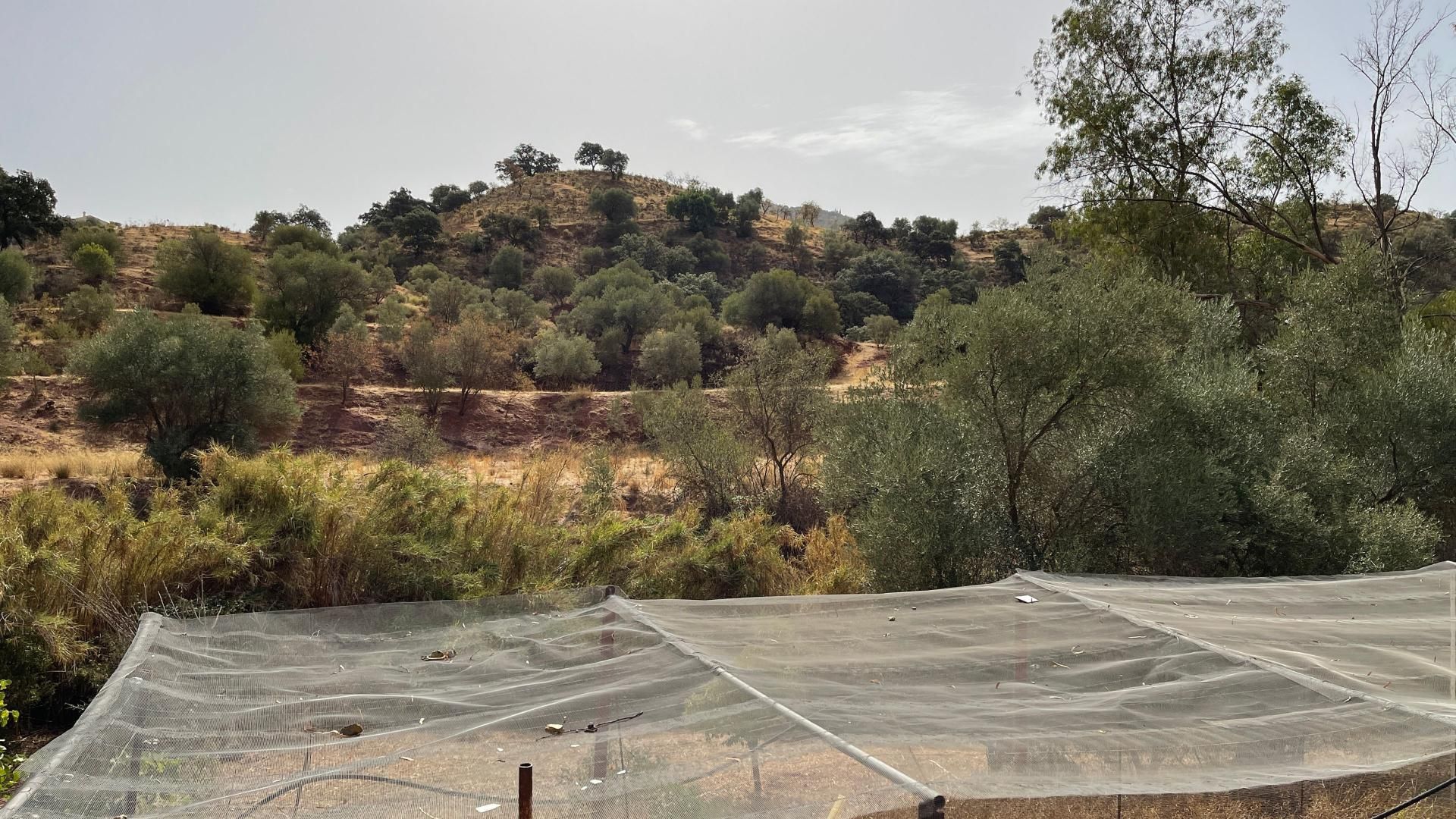 casa en Almogía, Andalucía 11222440