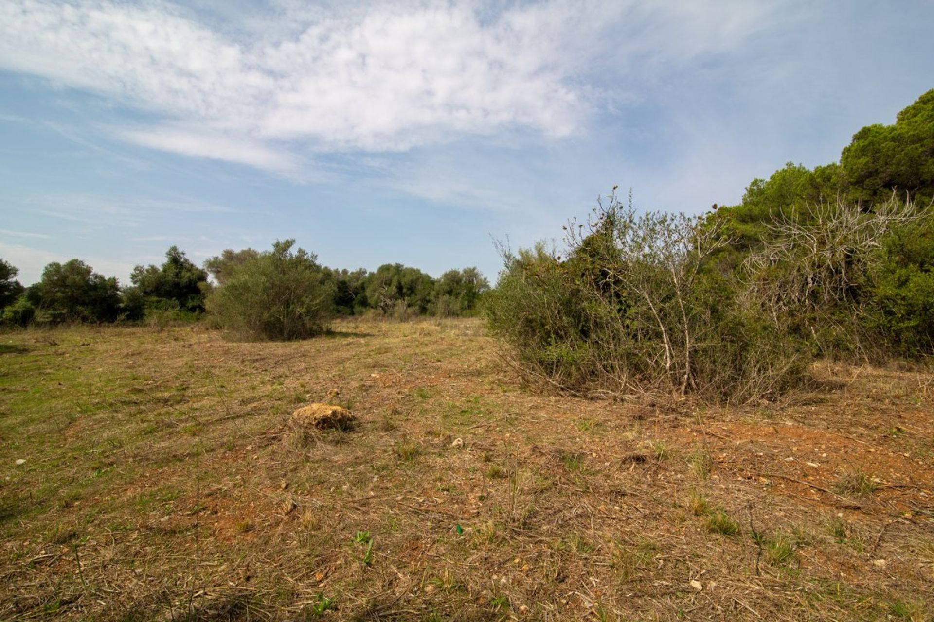 Land in Capdepera, Illes Balears 11224098