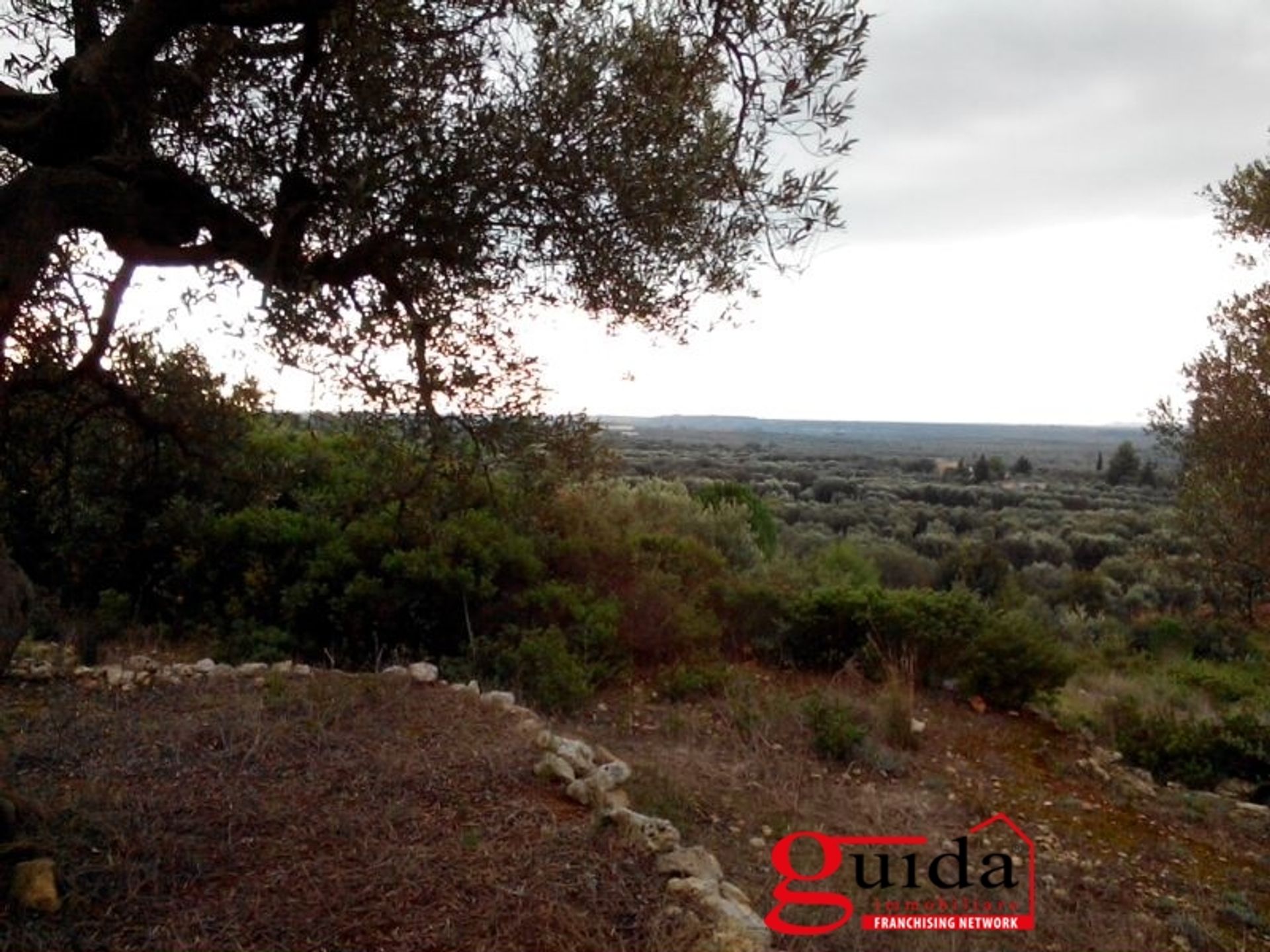 Tanah di Ruffano, Apulia 11224120