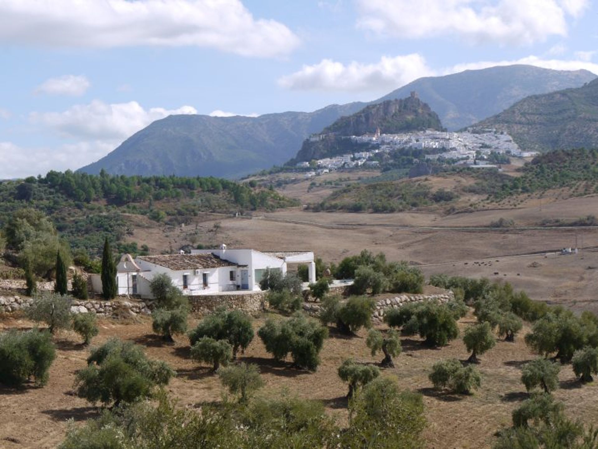 Rumah di Algodonales, Andalucía 11224373