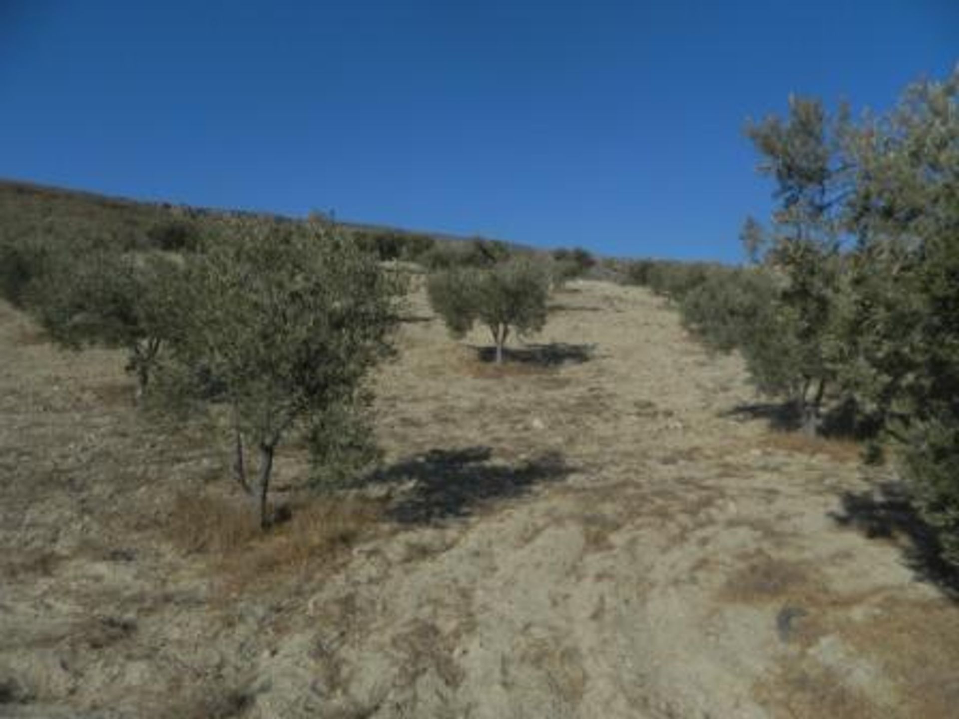 Tanah dalam Sorbas, Andalucía 11224761