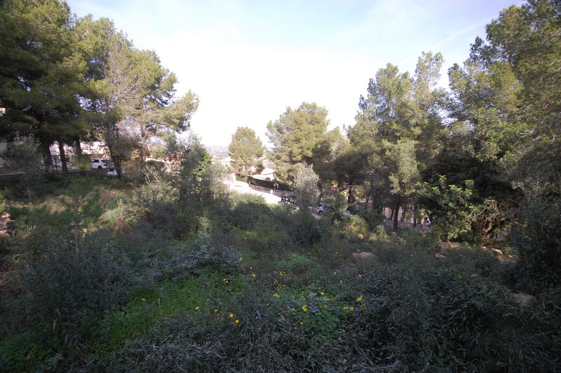 Land in Pedreguer, Valencia 11224832