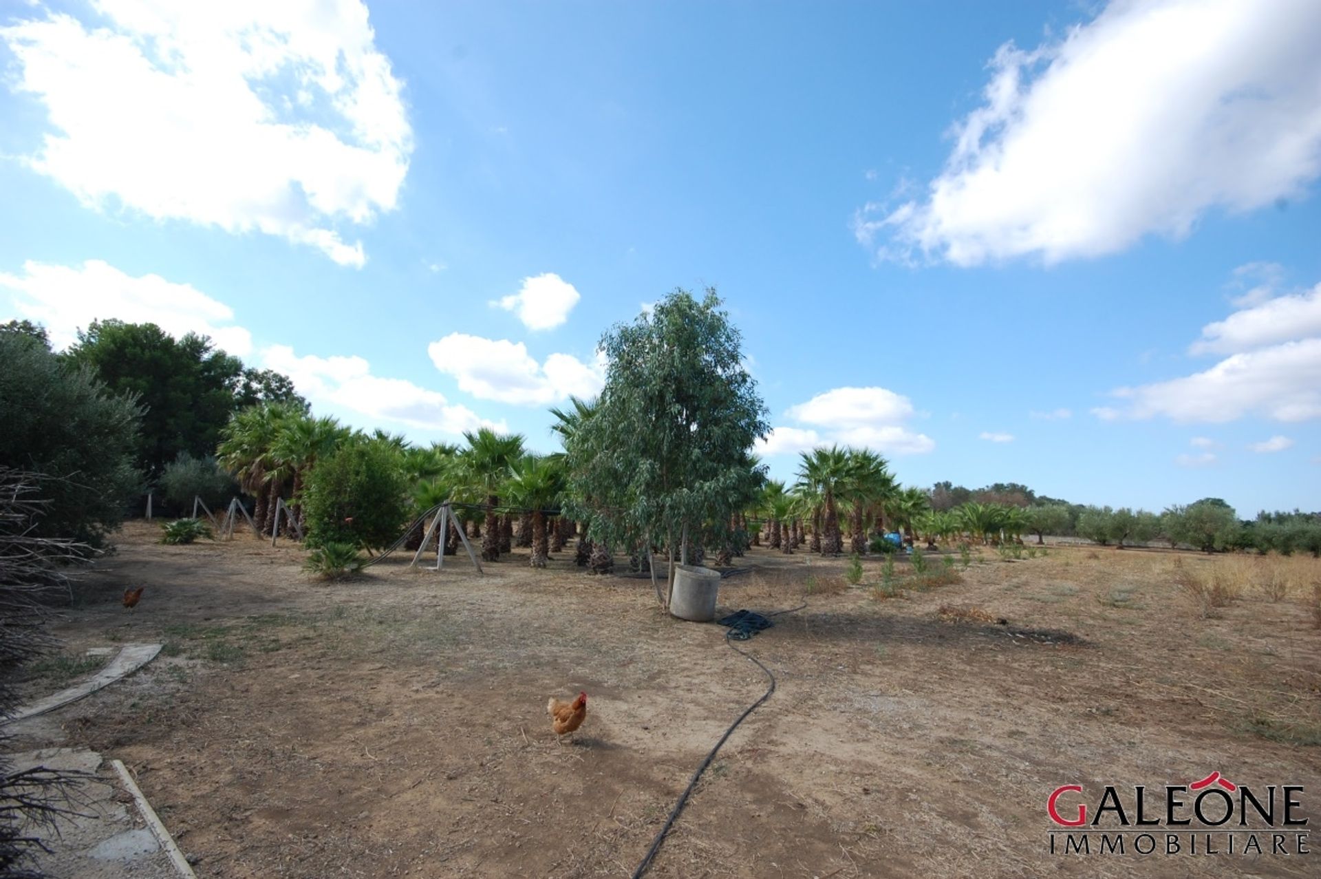 Tanah di Casarano, Puglia 11225237