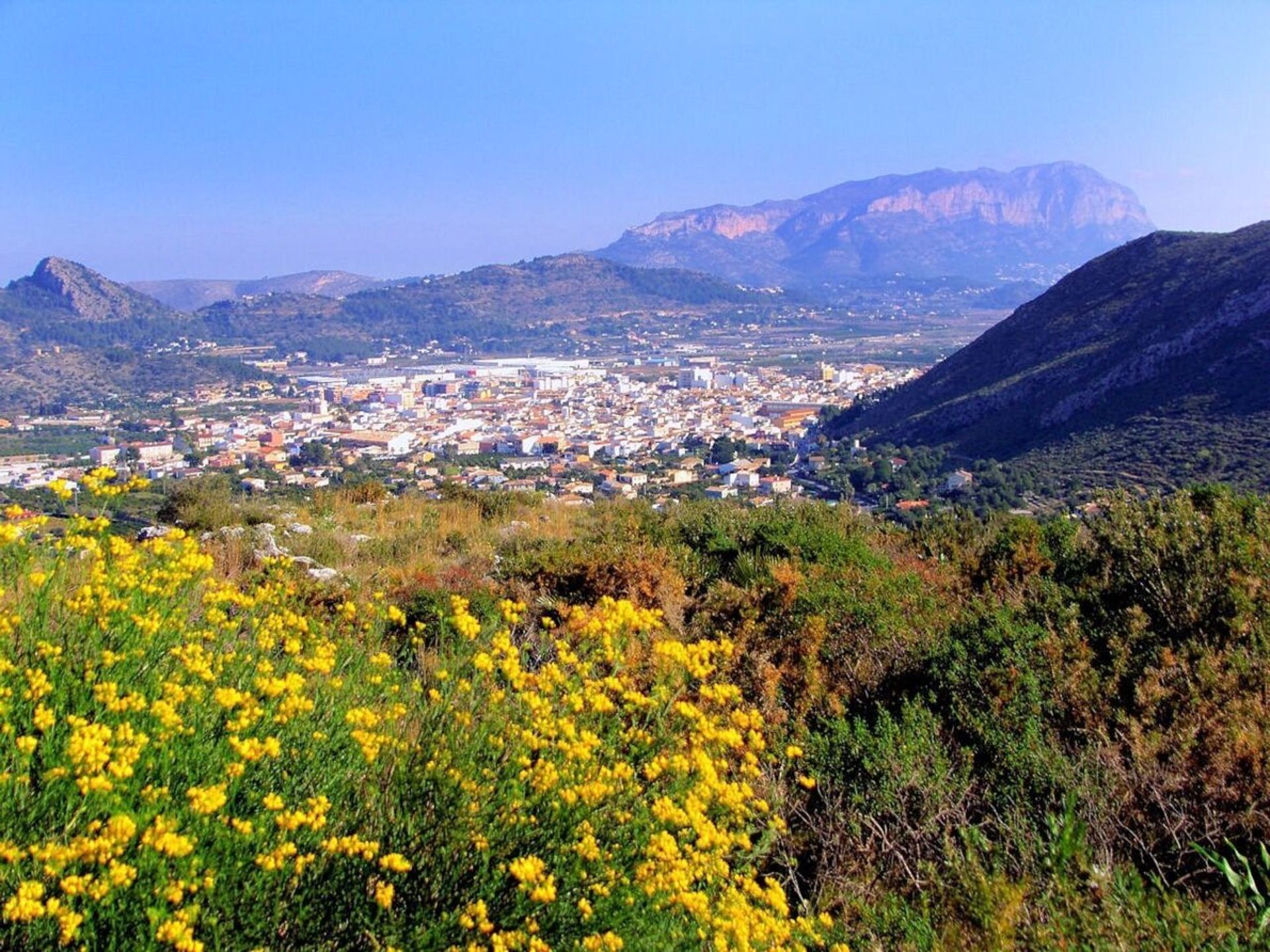 Tanah dalam Pedreguer, Comunidad Valenciana 11225475