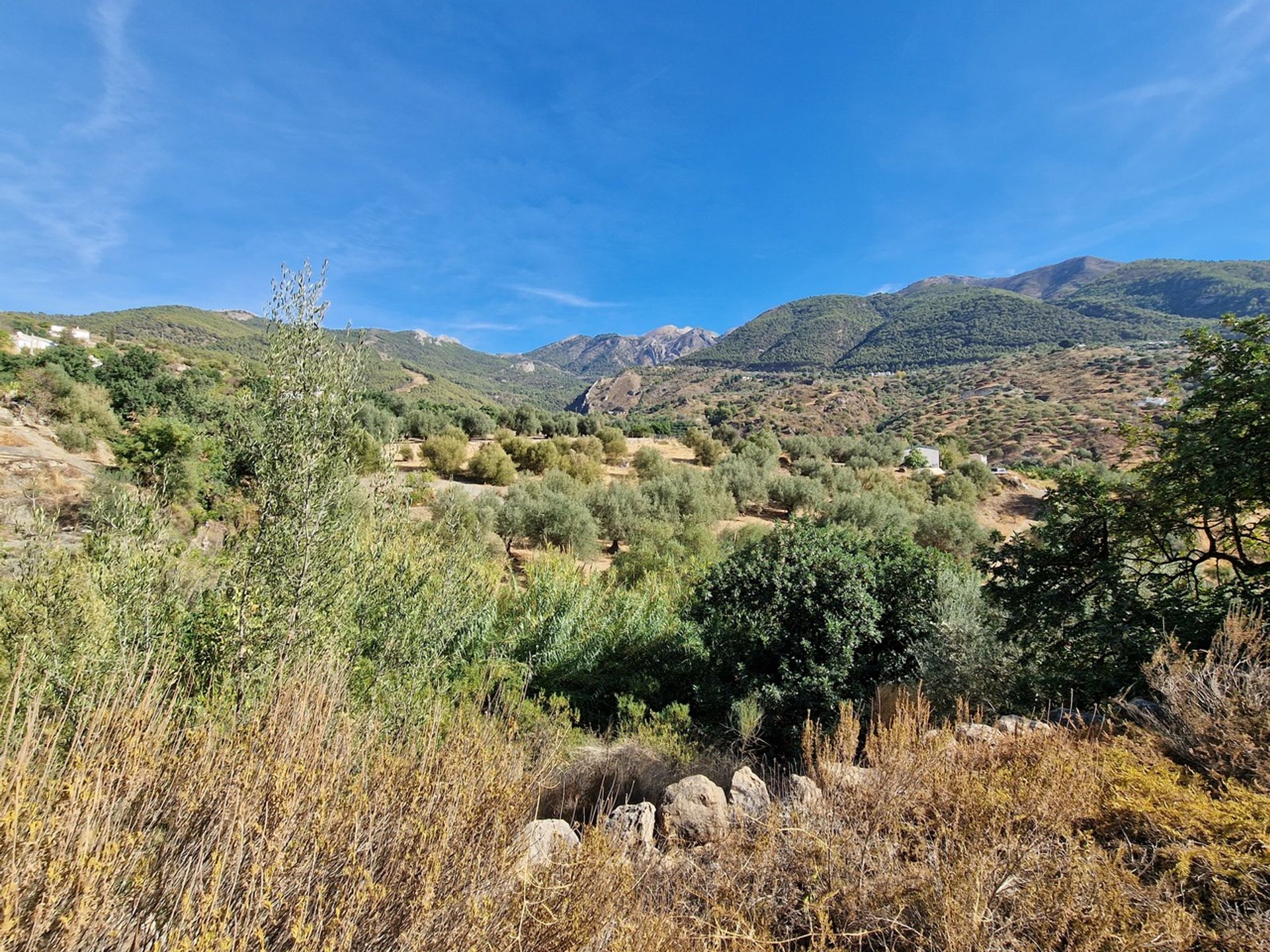 Haus im Alcaucín, Andalucía 11225611