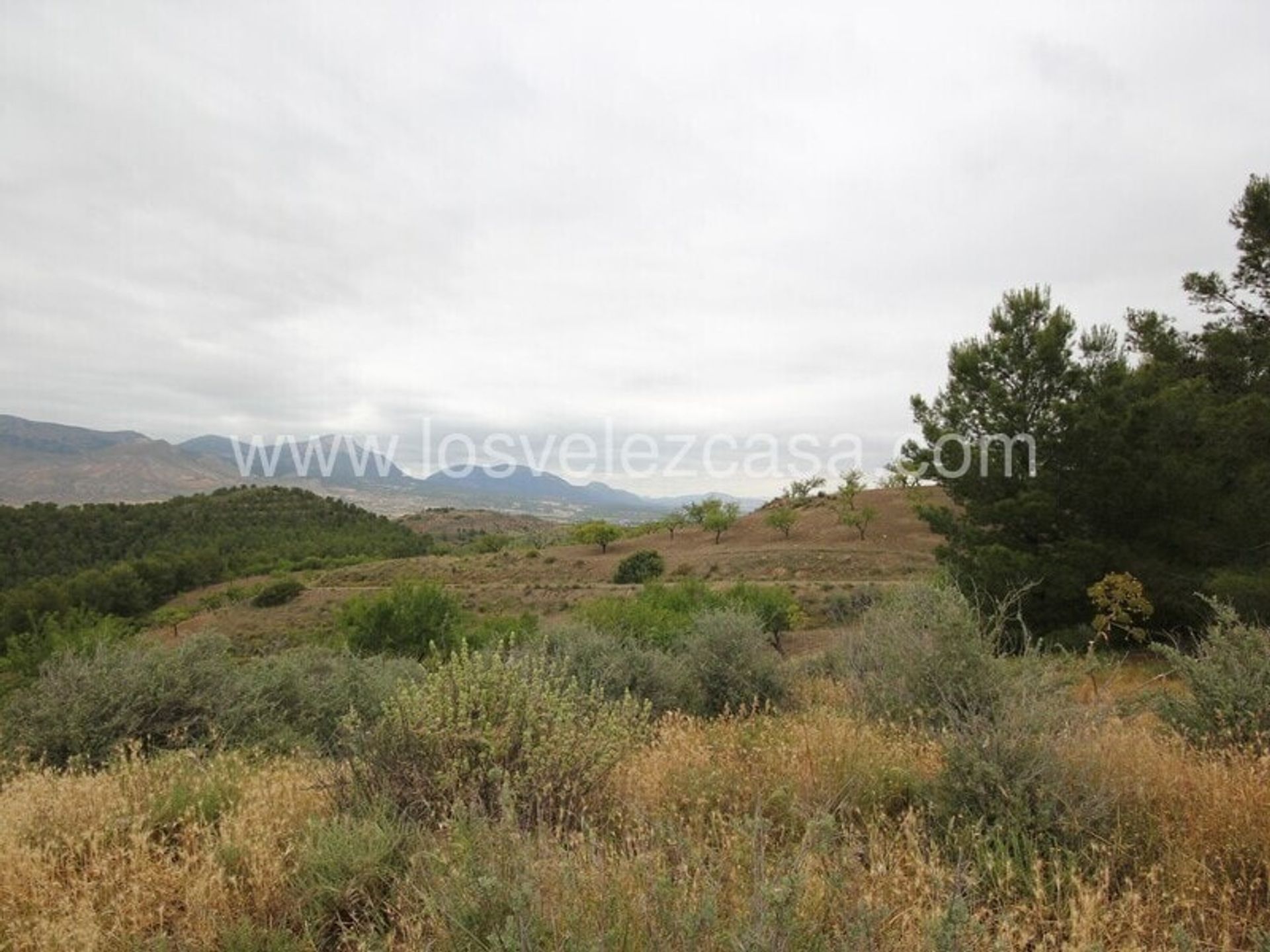 Rumah di Lorca, Región de Murcia 11226367