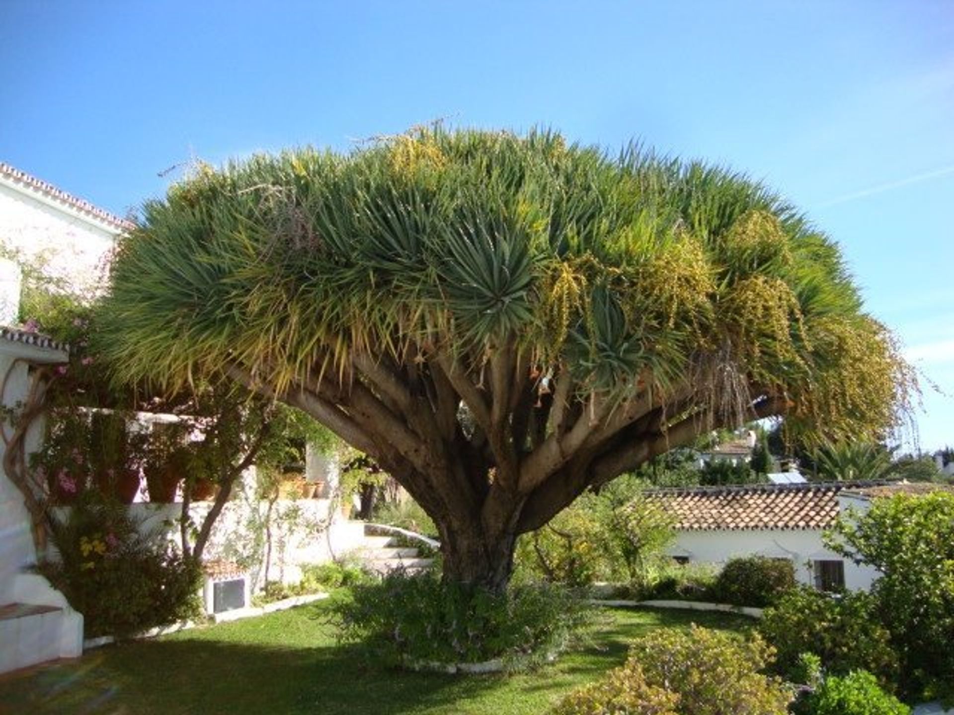 casa no Mijas, Andaluzia 11226777