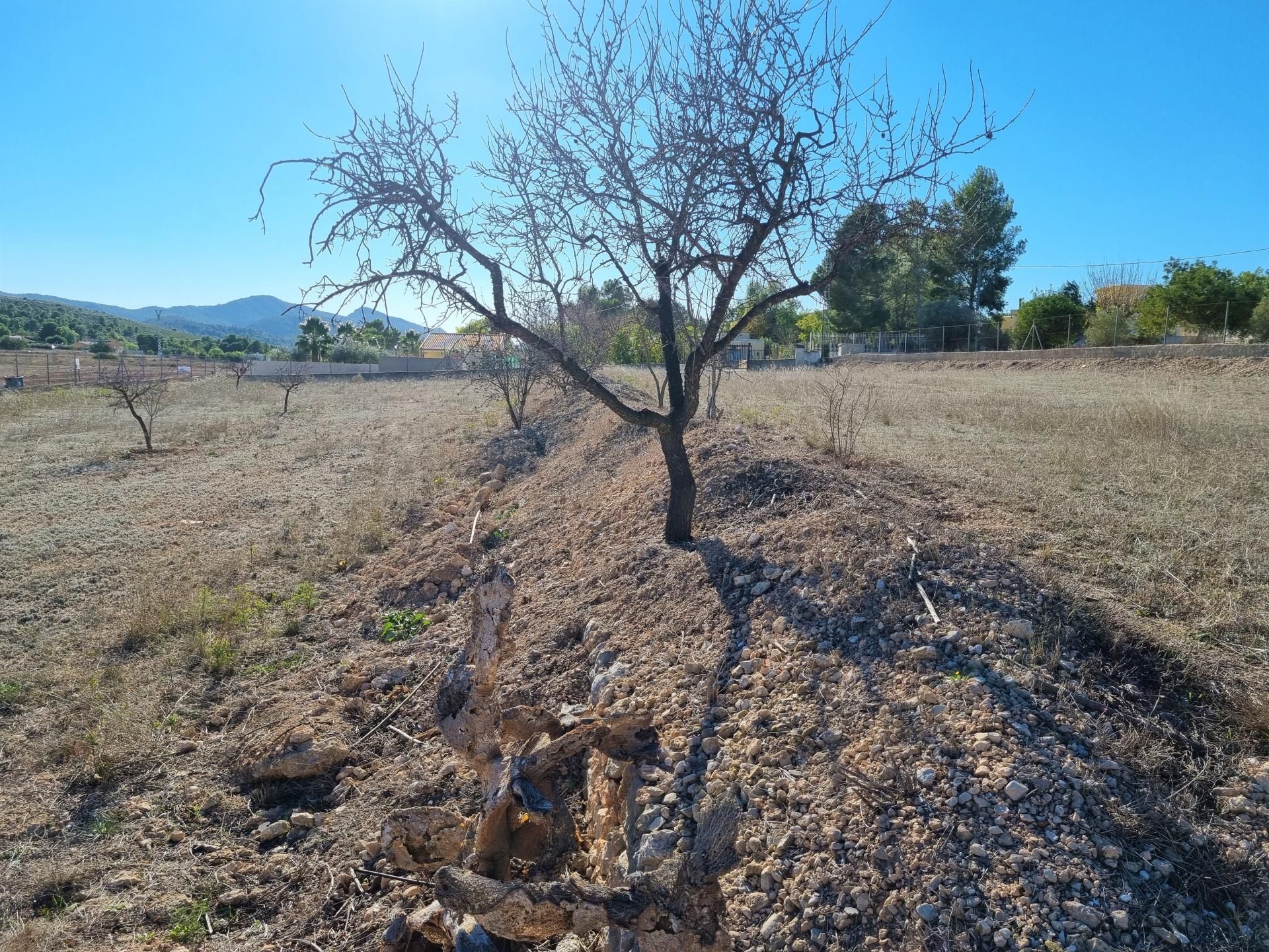 بيت في , Comunidad Valenciana 11226880