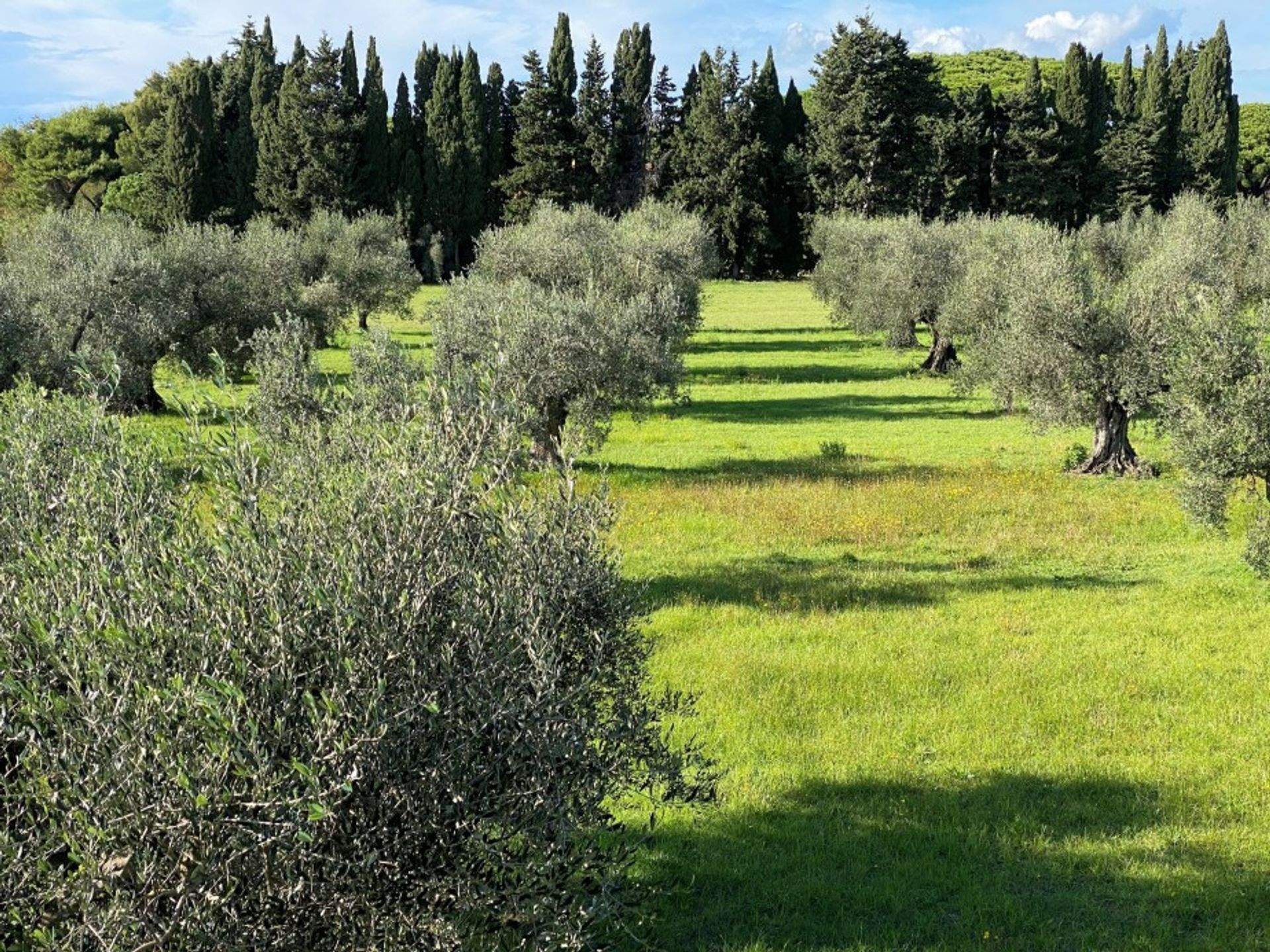 房子 在 Castagneto Carducci, Toscana 11227571