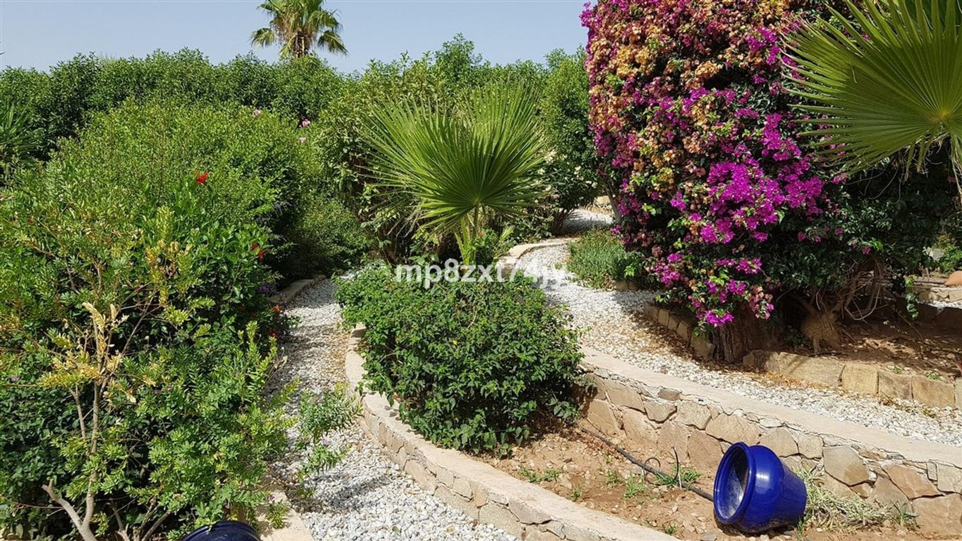 House in Alcaucin, Andalusia 11227851