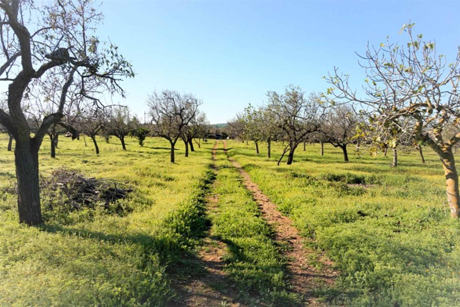 σπίτι σε Artà, Illes Balears 11227962