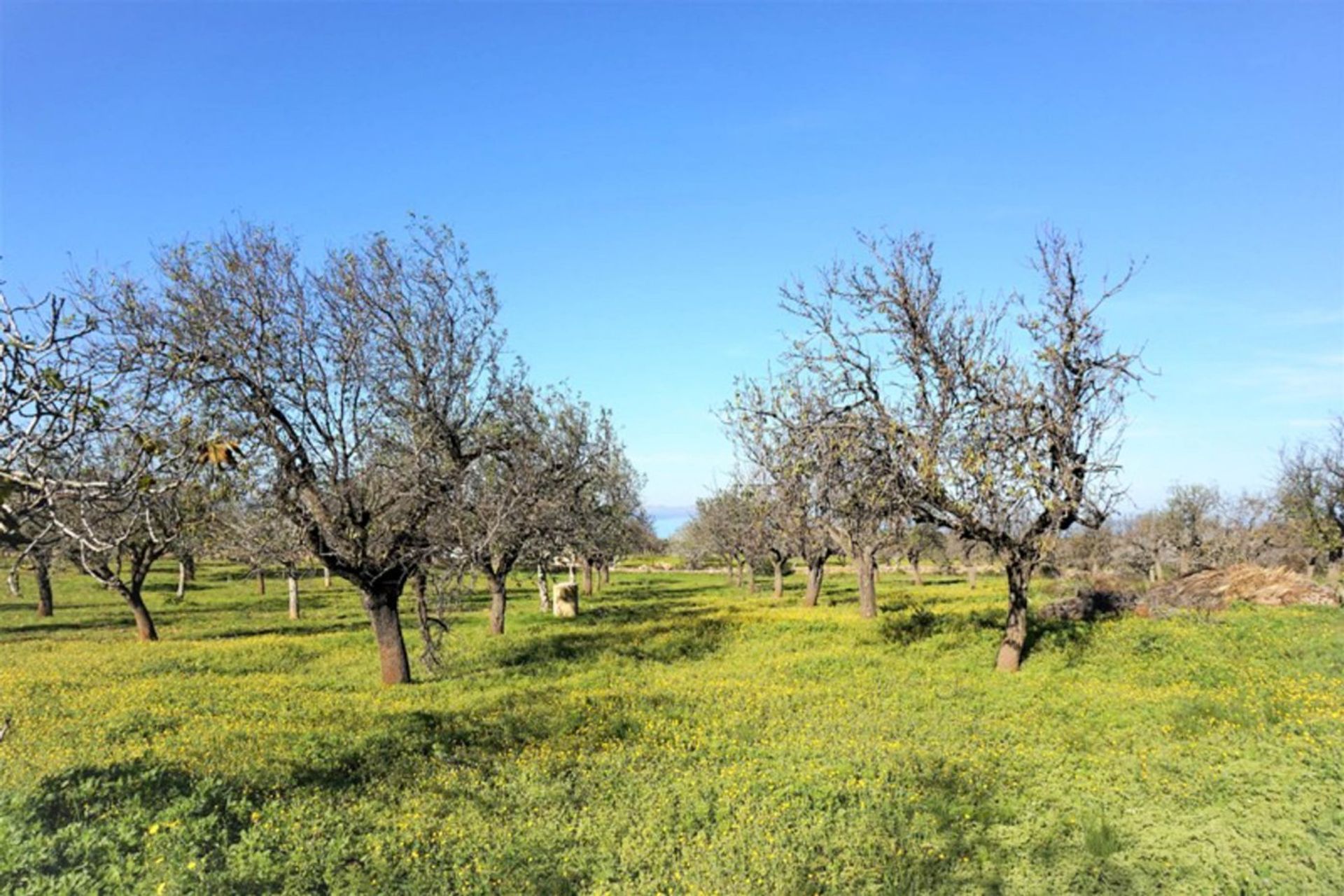 σπίτι σε Artà, Illes Balears 11227962