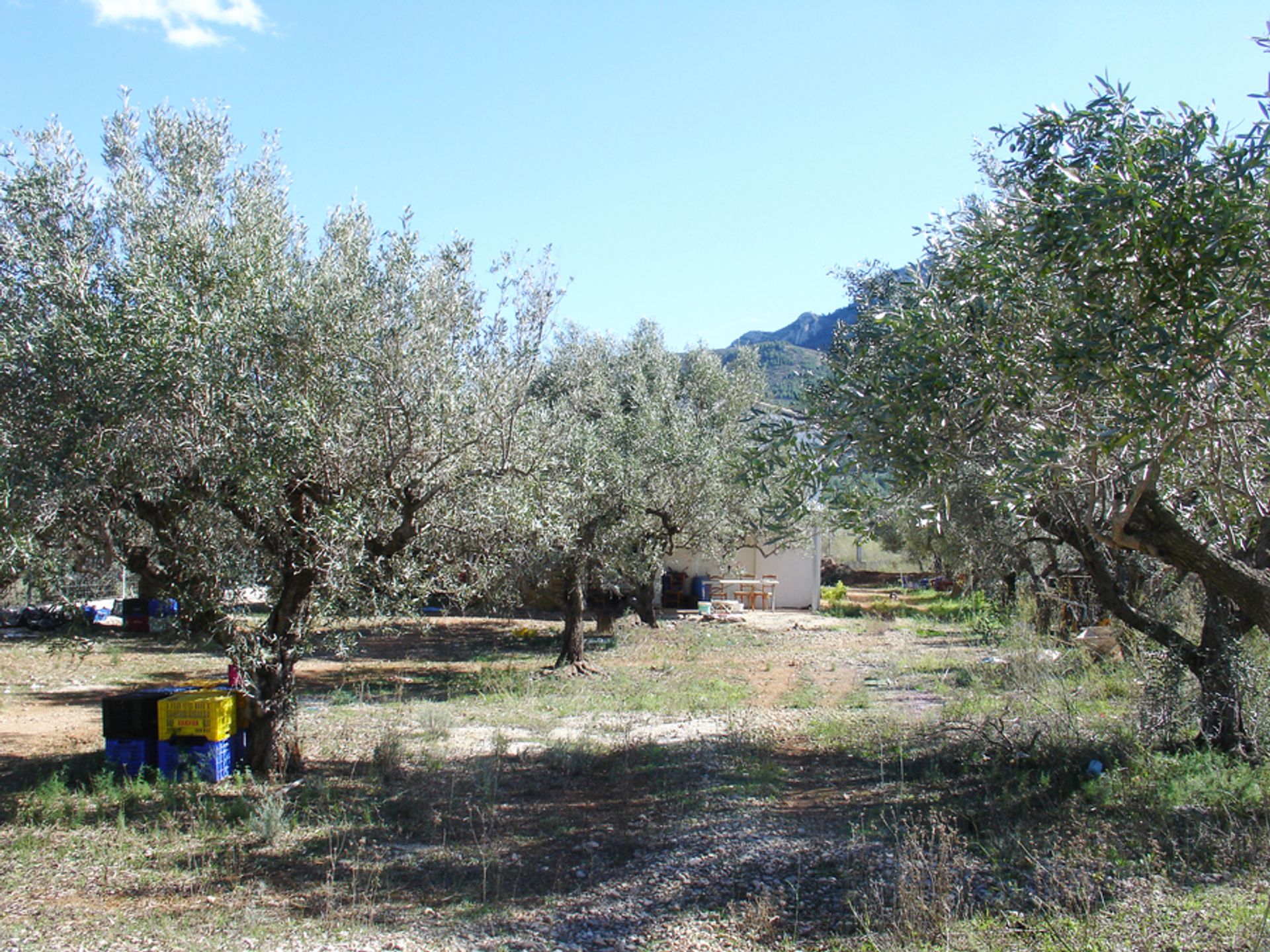 Perindustrian dalam , Comunidad Valenciana 11229067