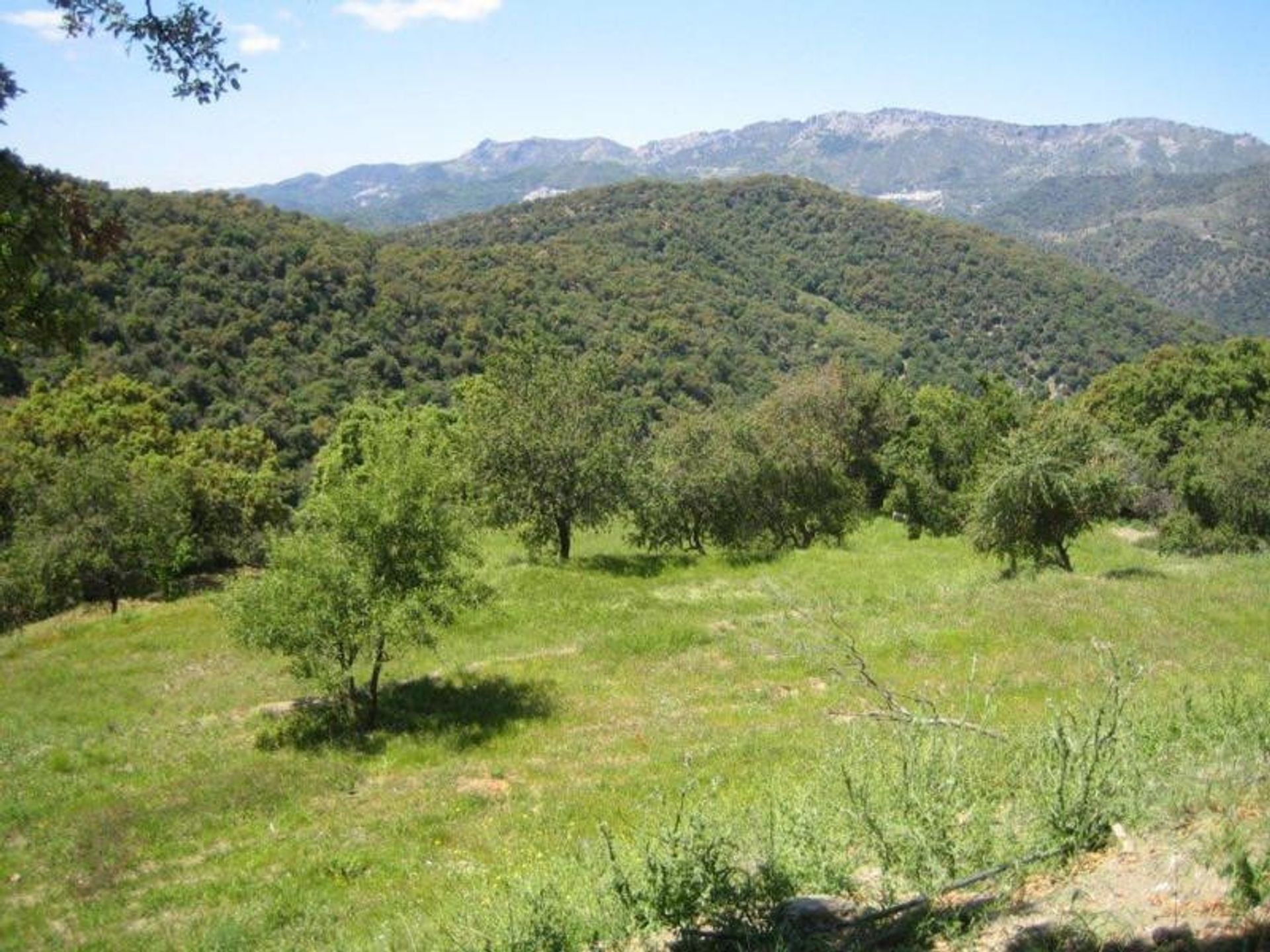 Land im Ronda, Andalucía 11229792