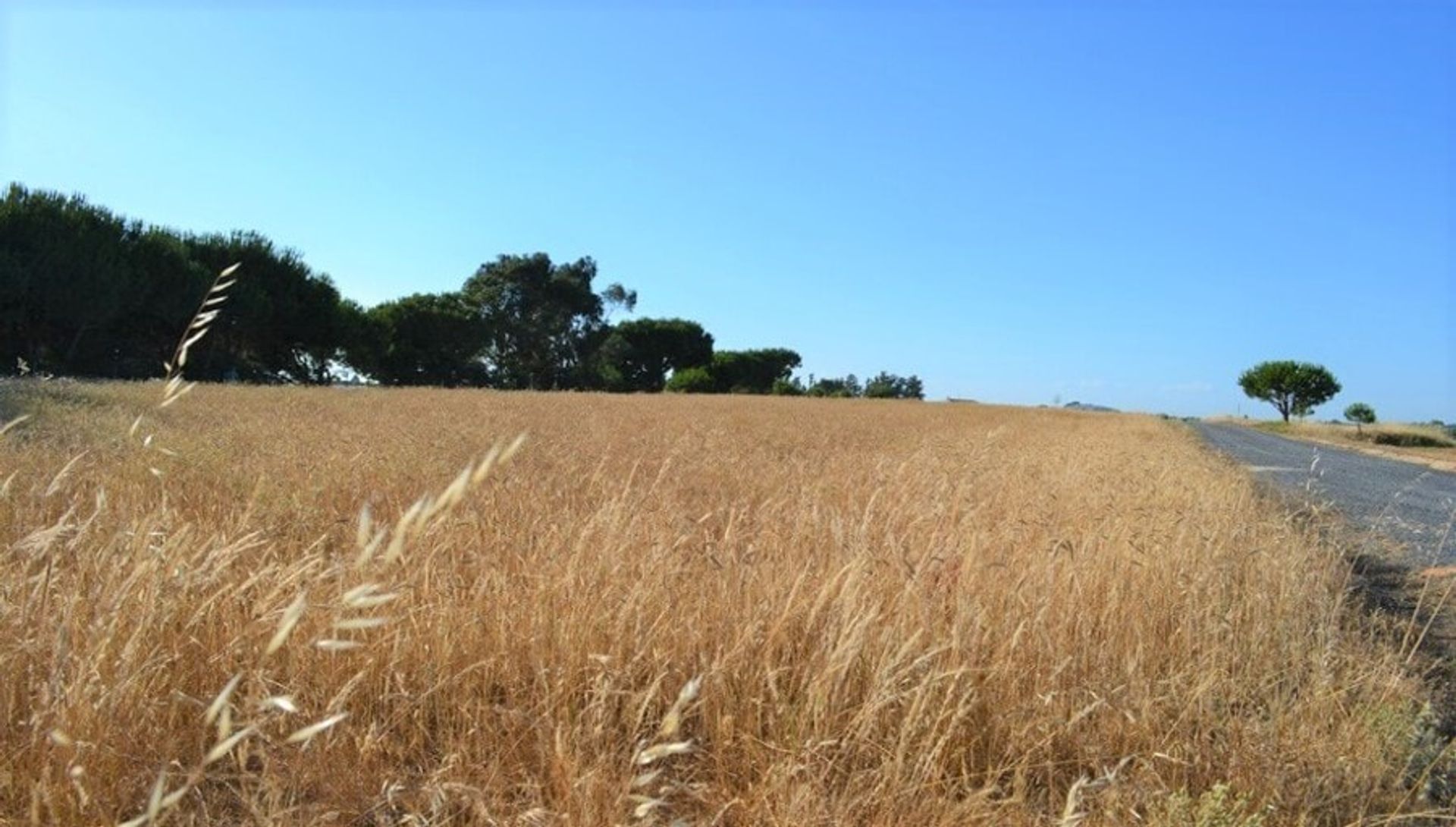 Hus i Cartaya, Andalucía 11229931