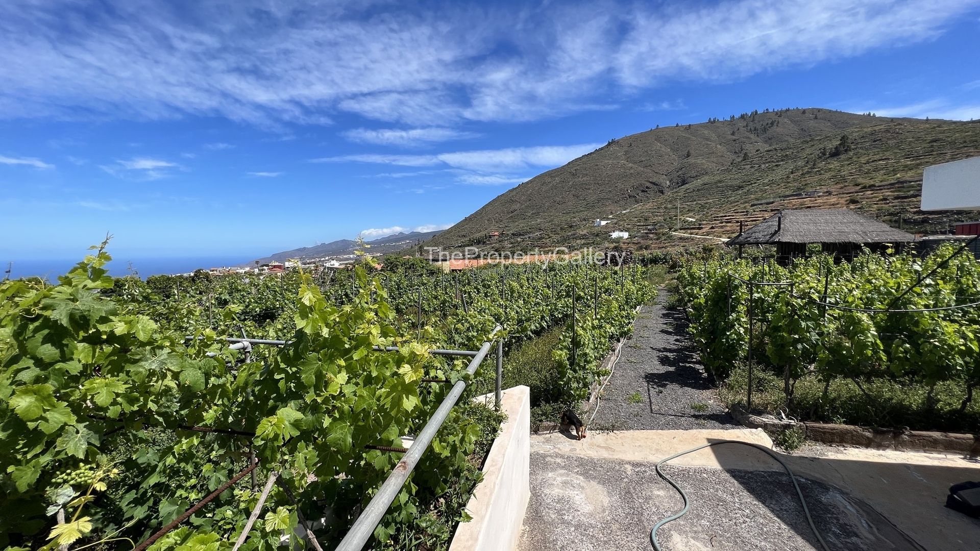 casa en Guía de Isora, Canarias 11230365