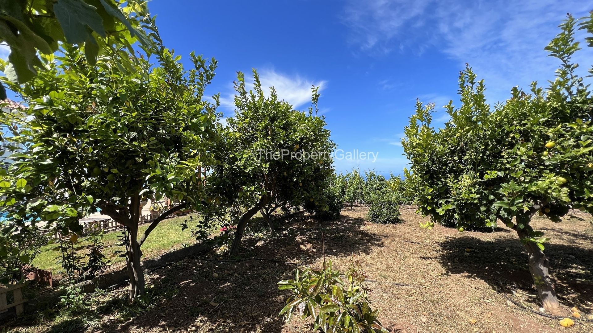 casa en Guía de Isora, Canarias 11230365